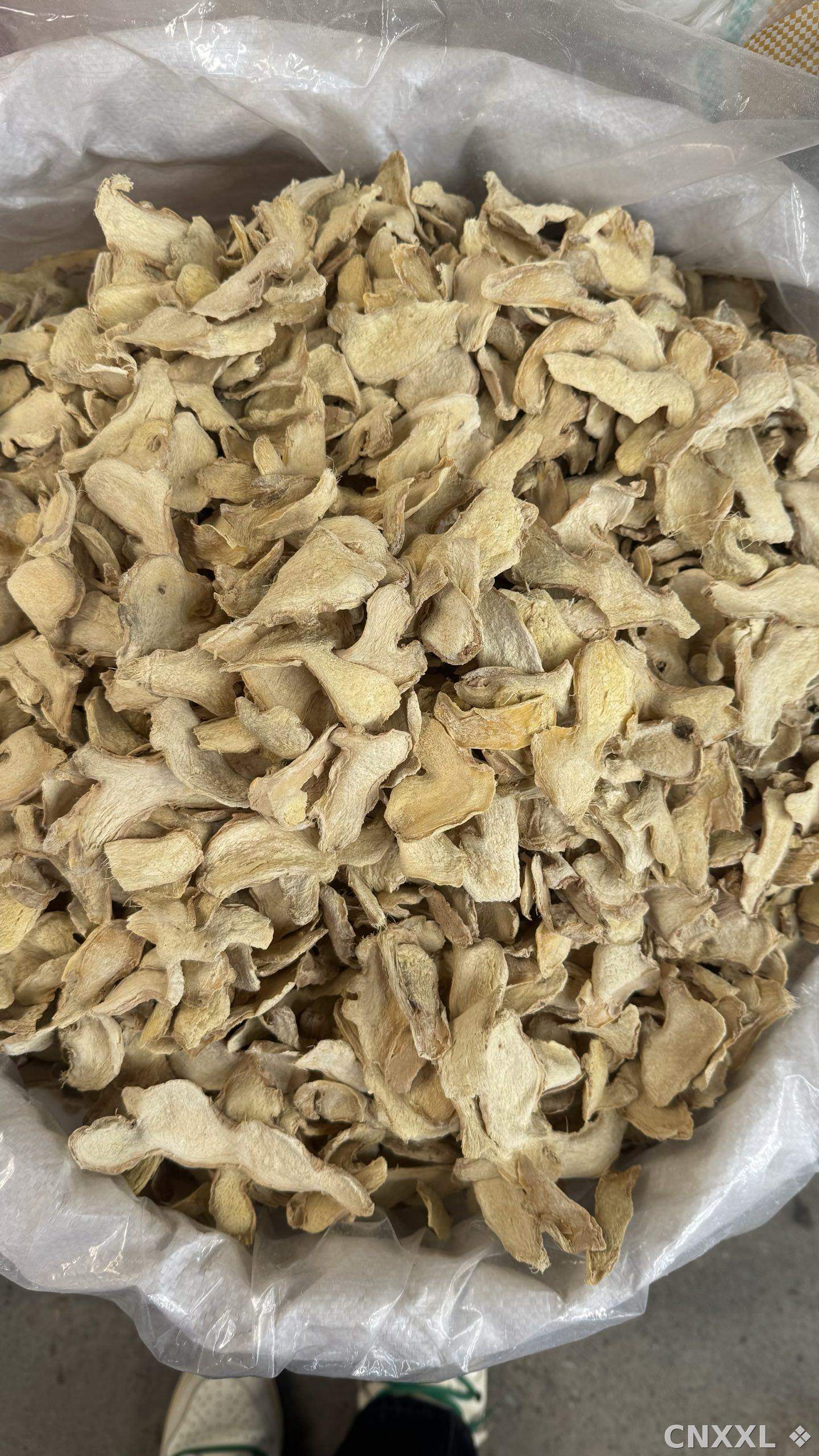 spice_26343_565de865_3.jpg