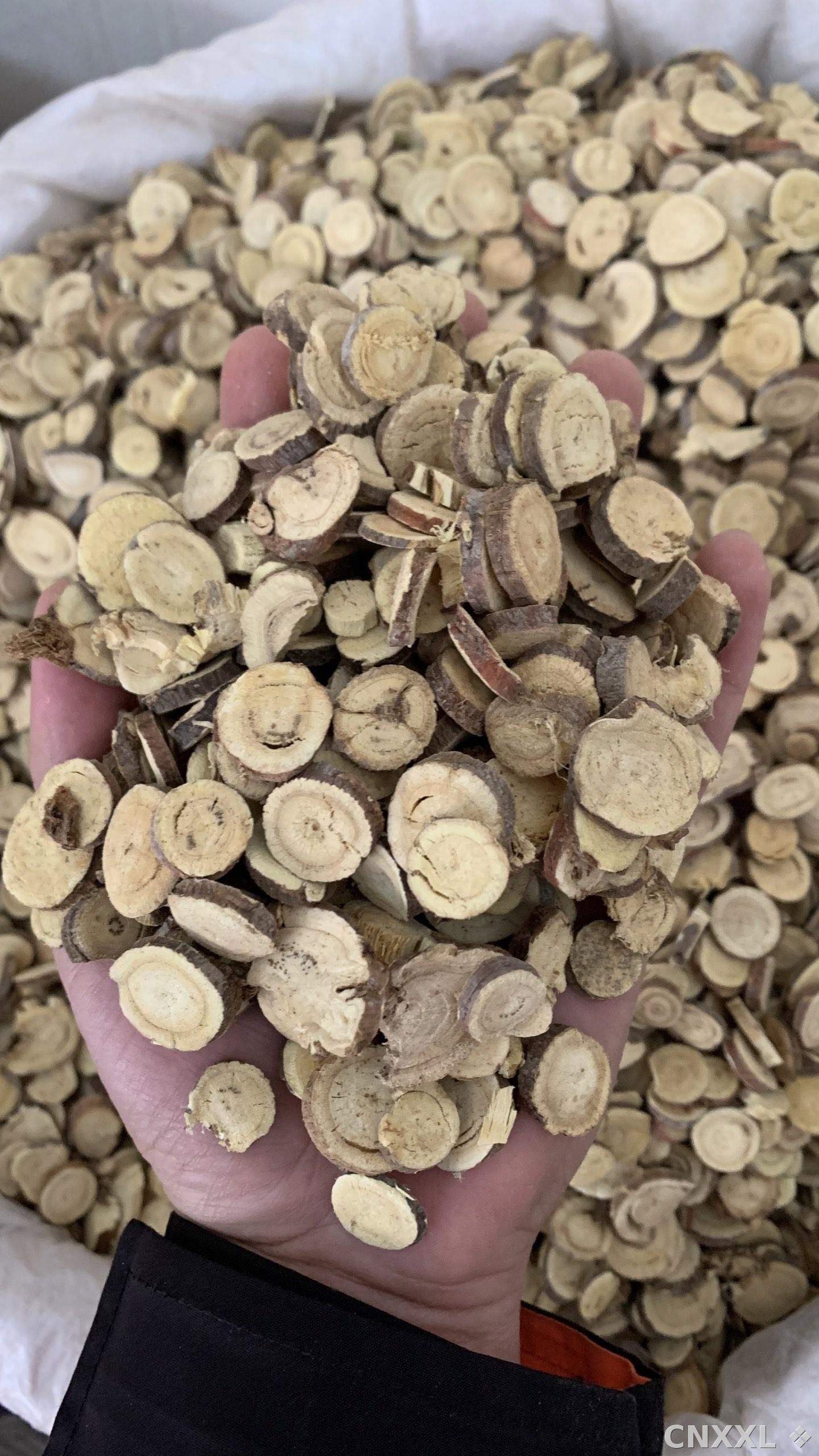 spice_26344_ef3fe025_1.jpg