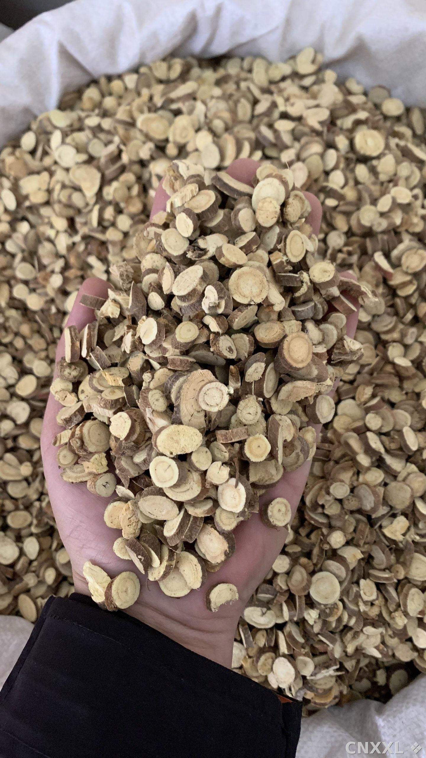 spice_26345_19e7eb87_1.jpg