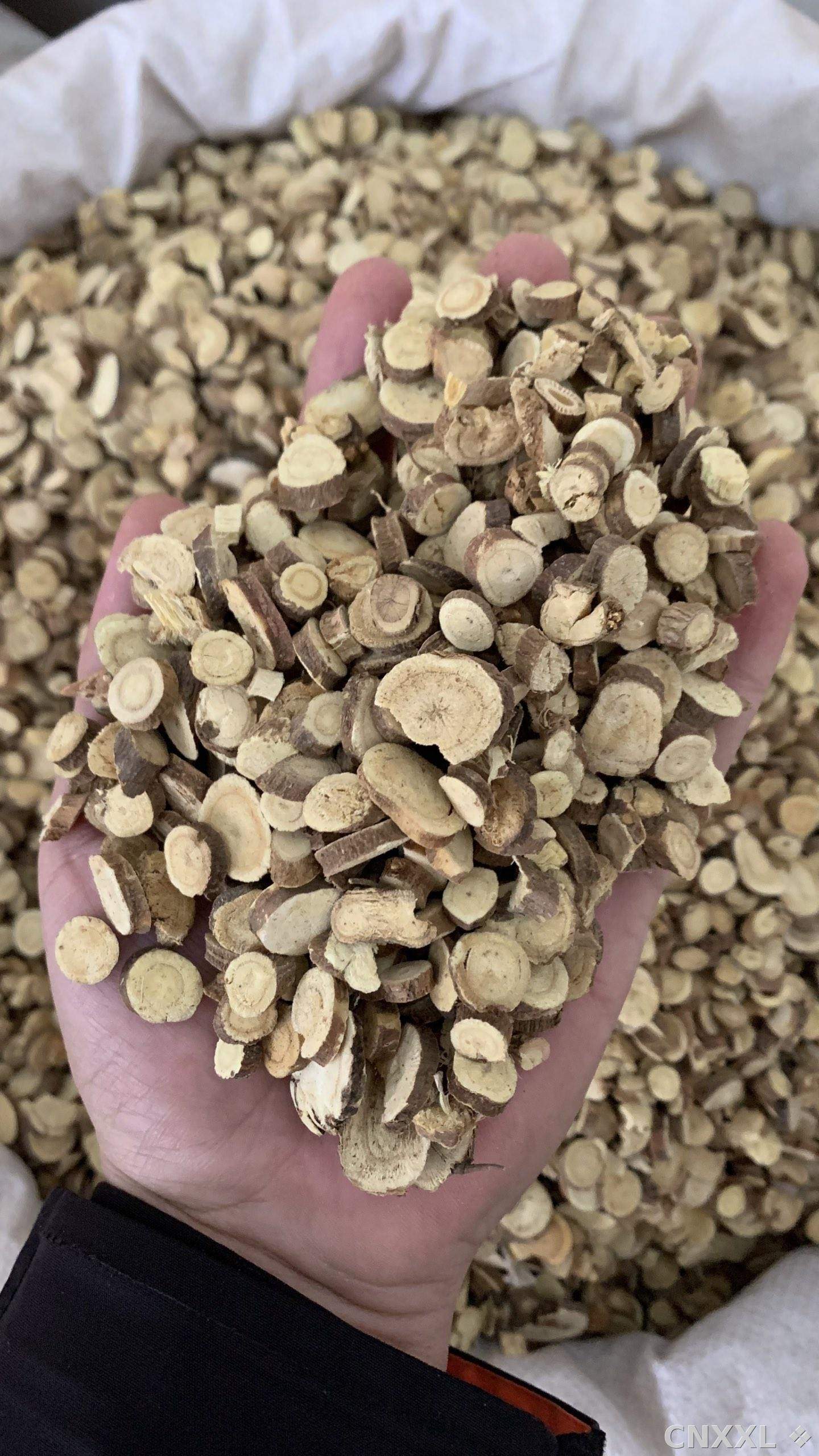 spice_26345_9c413e5e_2.jpg