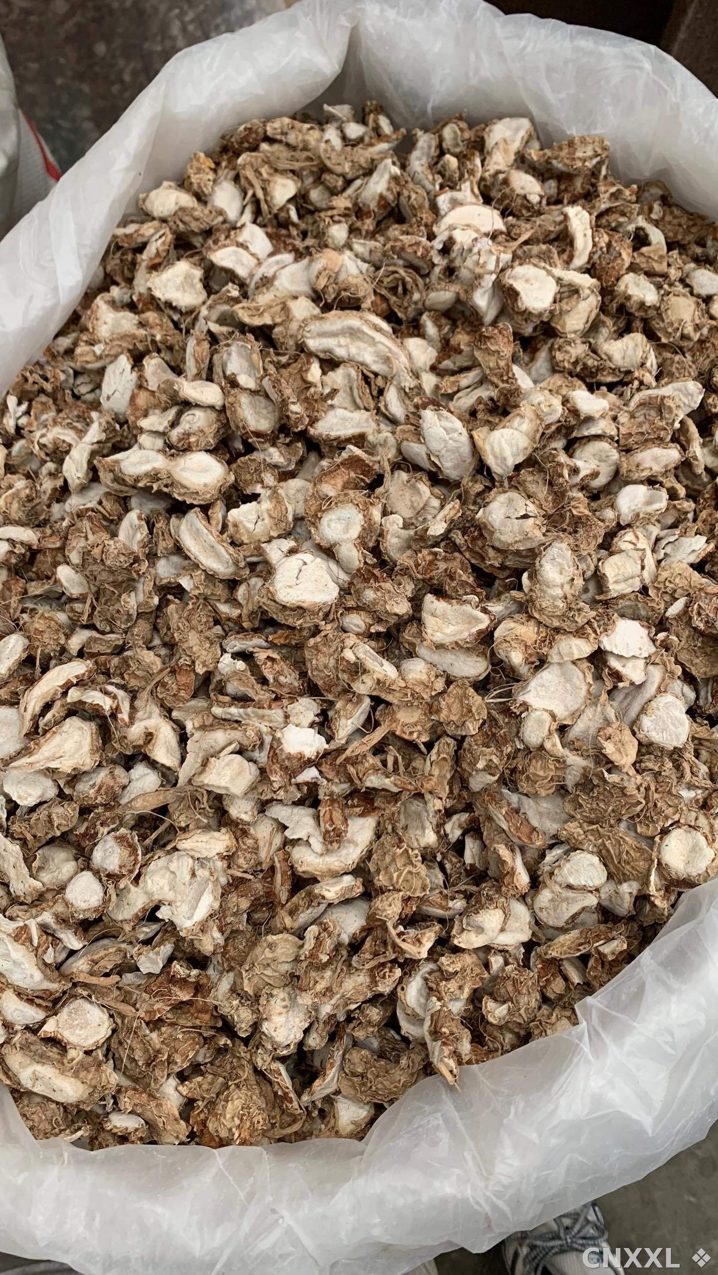 spice_26351_43c3e223_3.jpg