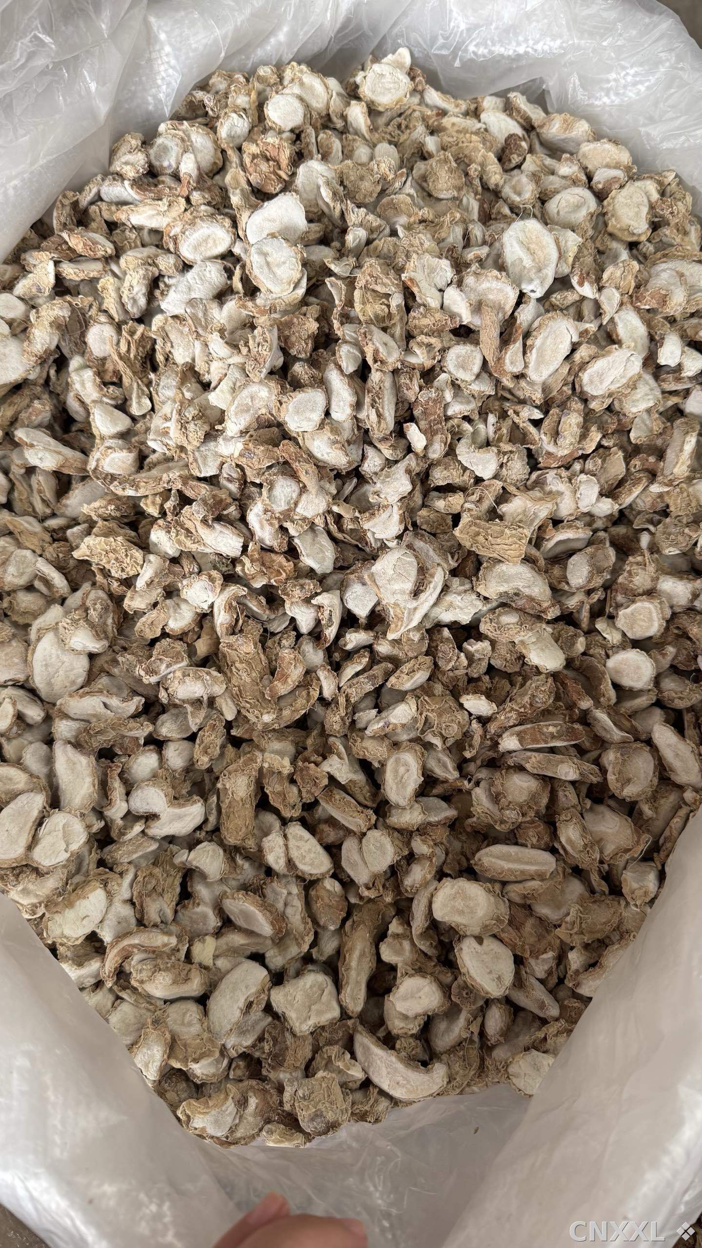 spice_26354_181ebcea_3.jpg
