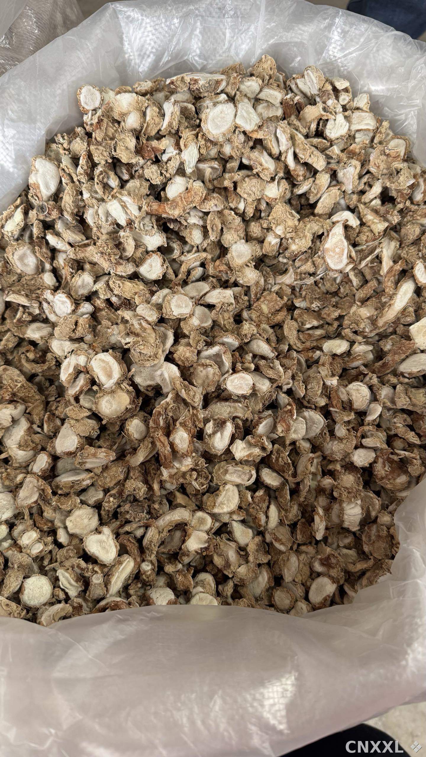 spice_26355_e677c38f_2.jpg