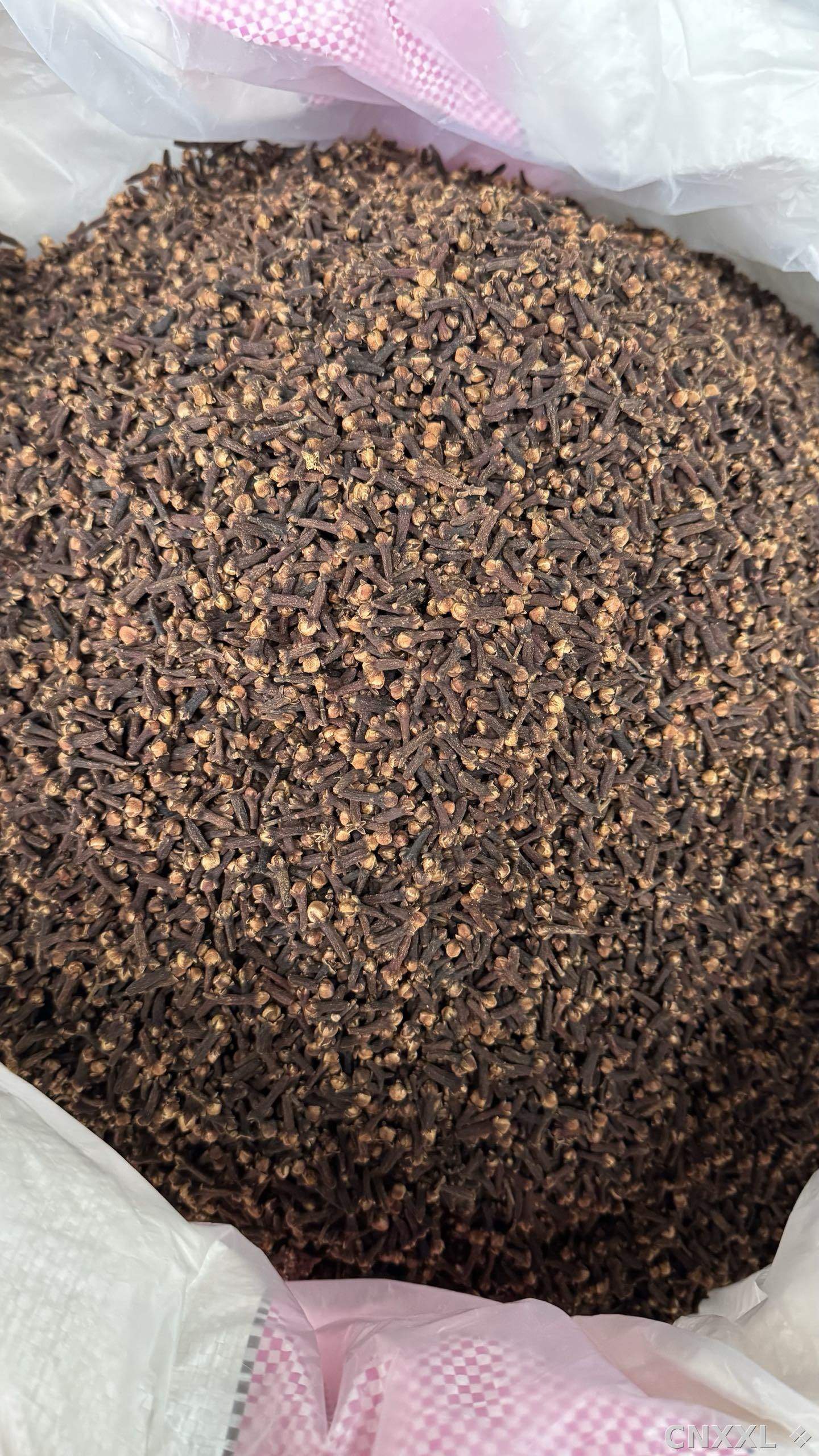 spice_26356_bdd628f4_3.jpg
