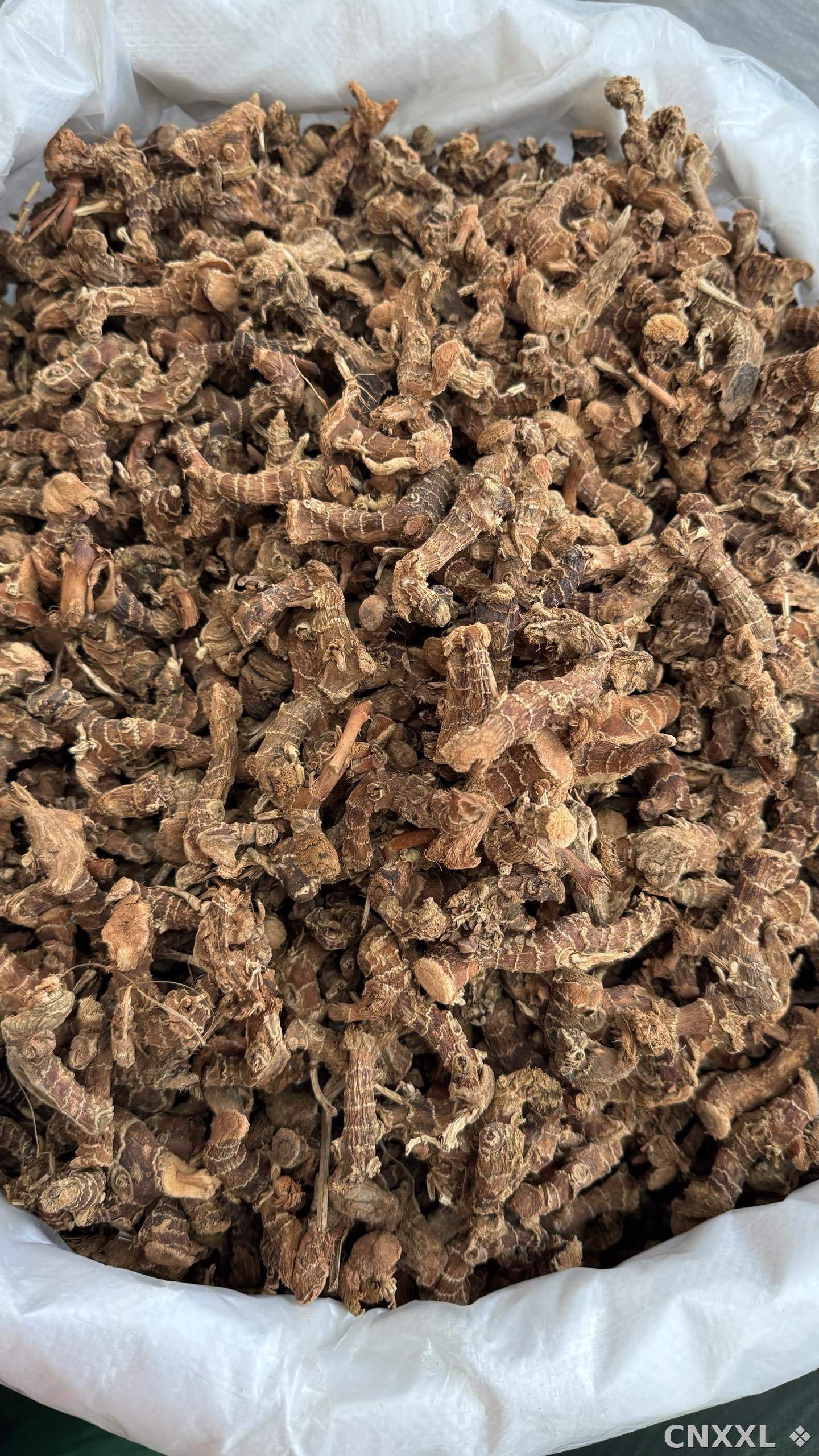 spice_26357_4627044b_3.jpg