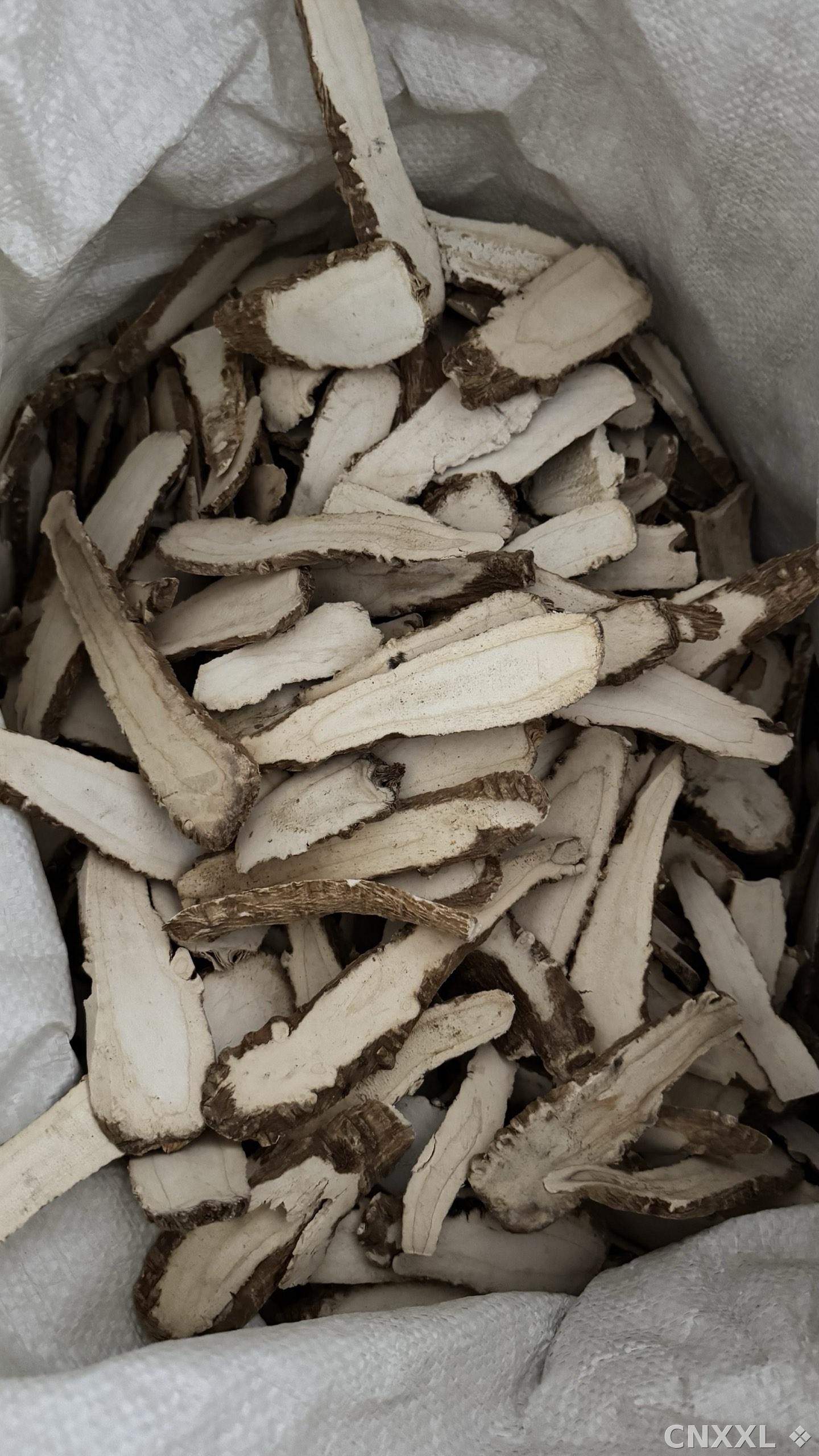 spice_26360_0925fde8_3.jpg