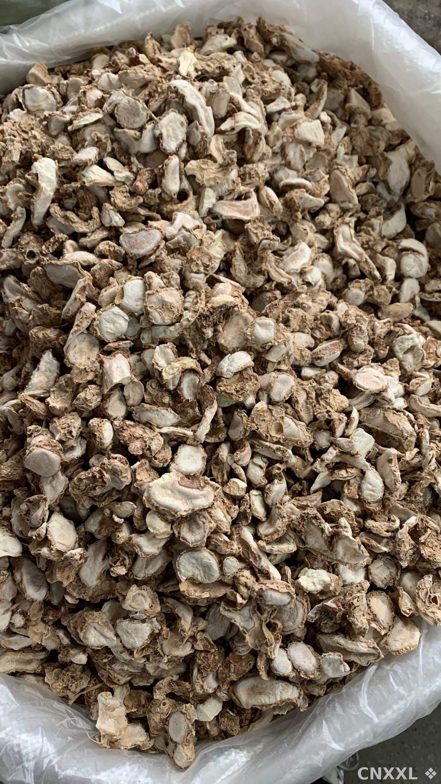 spice_26366_c12f7744_3.jpg