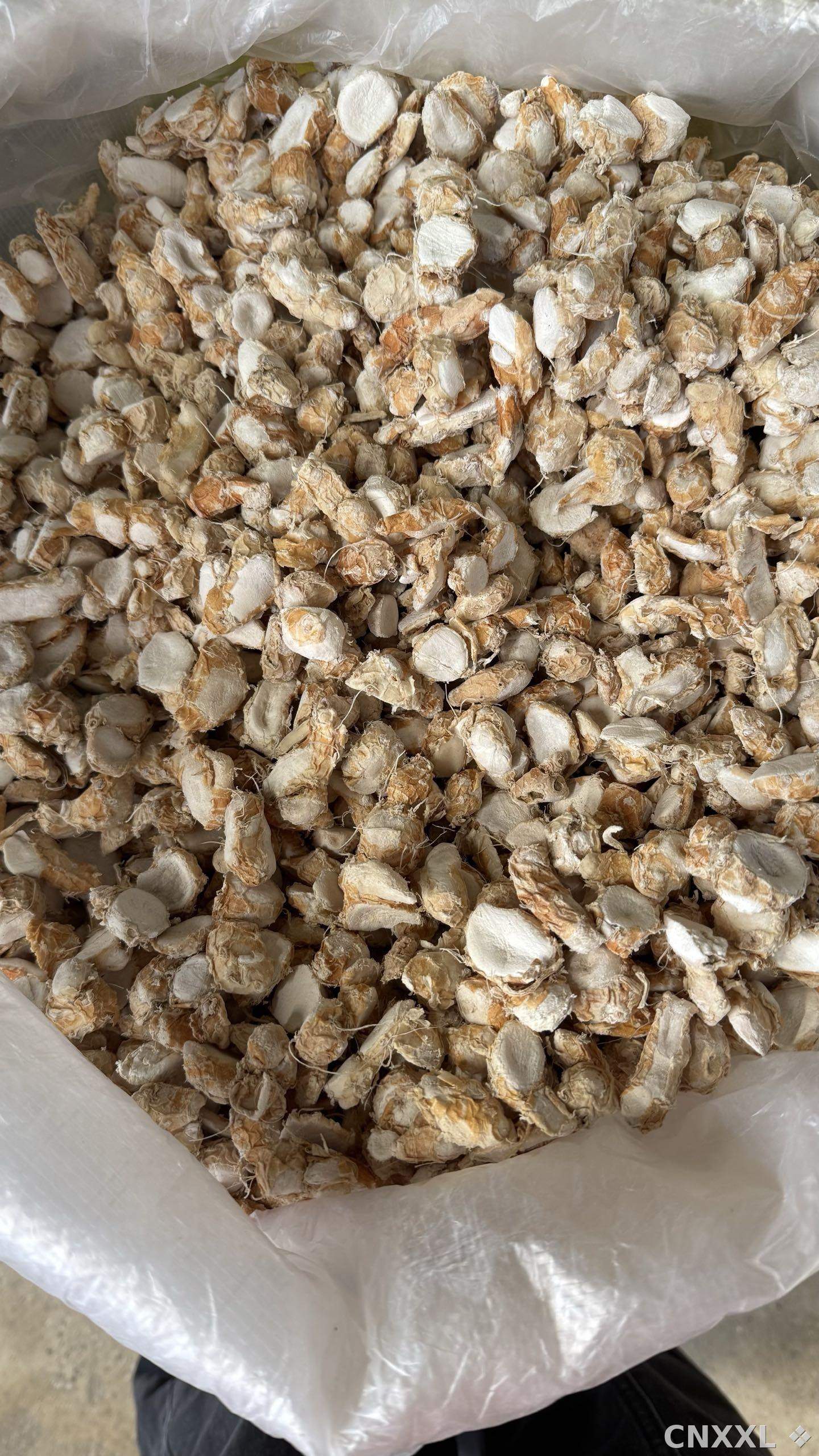 spice_26373_913f707b_3.jpg