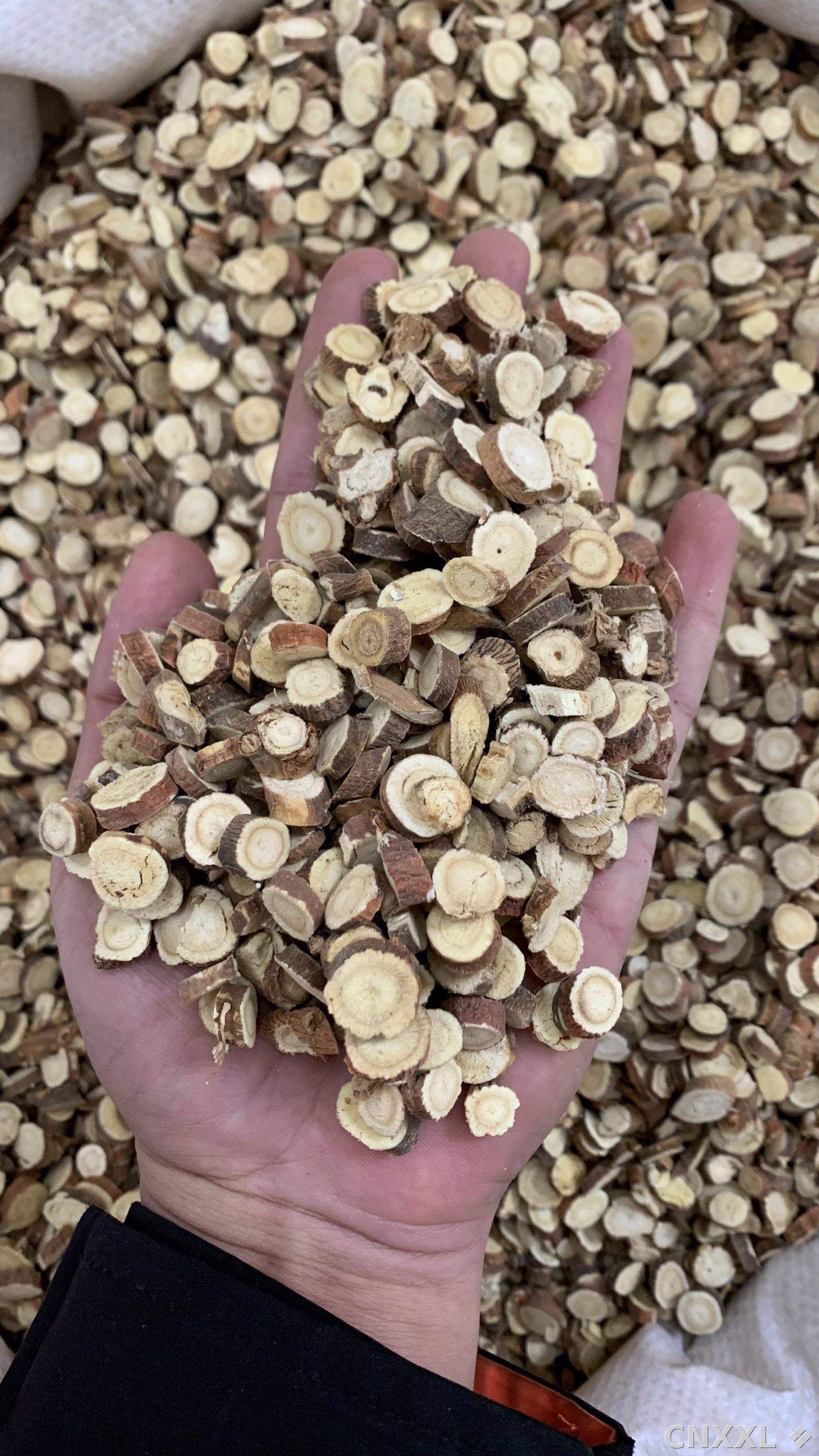 spice_26374_8c22fa16_2.jpg