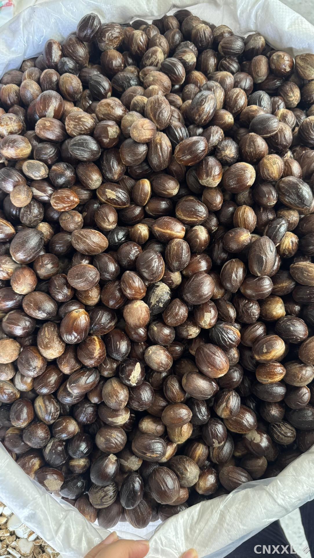 spice_26380_4599d97b_3.jpg