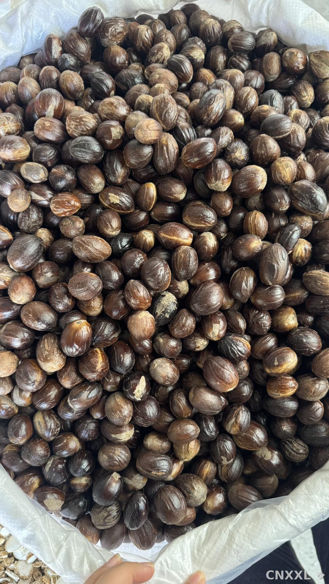 spice_26380_be7c8351_2.jpg