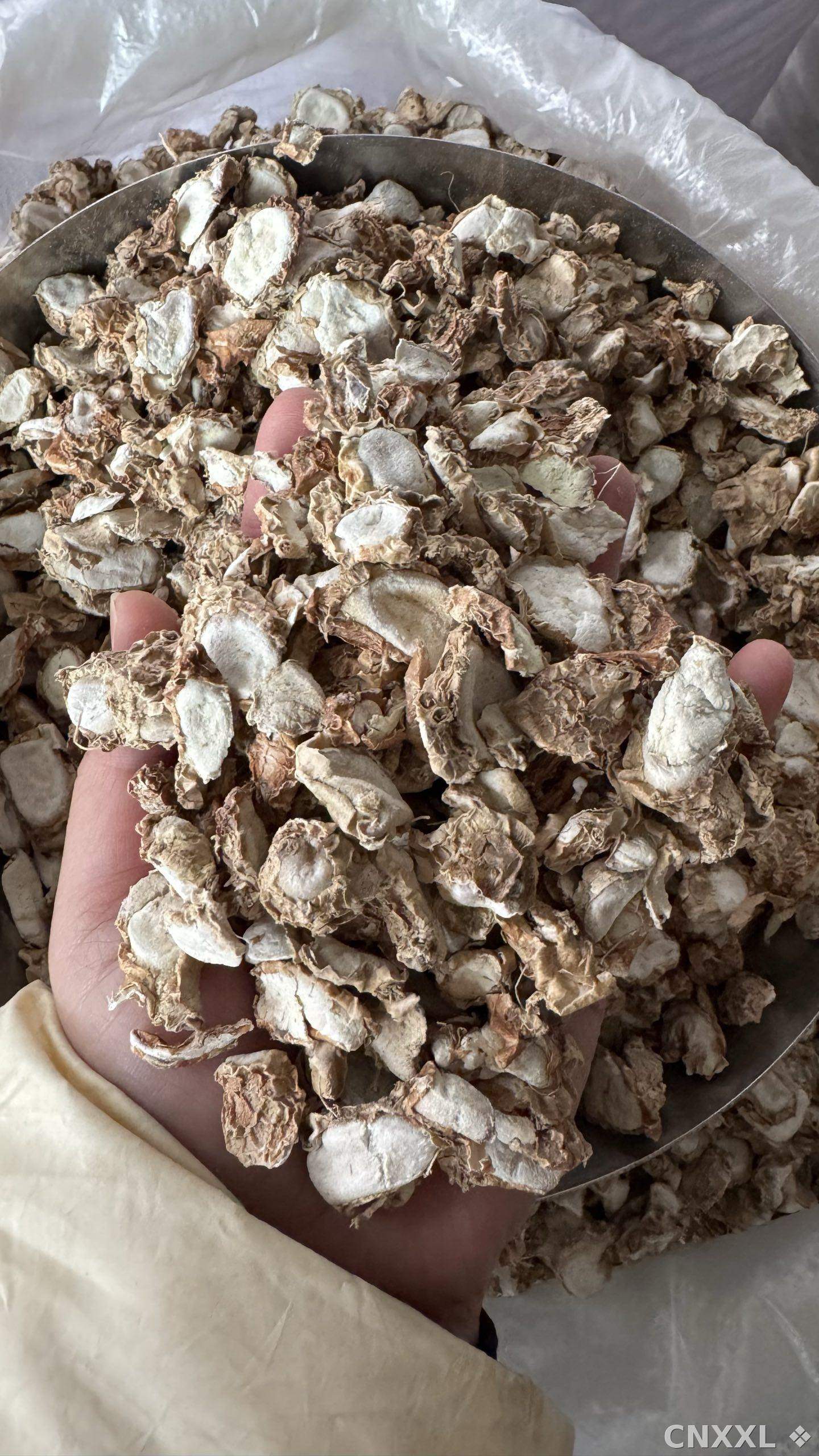 spice_26383_fc6d8118_2.jpg