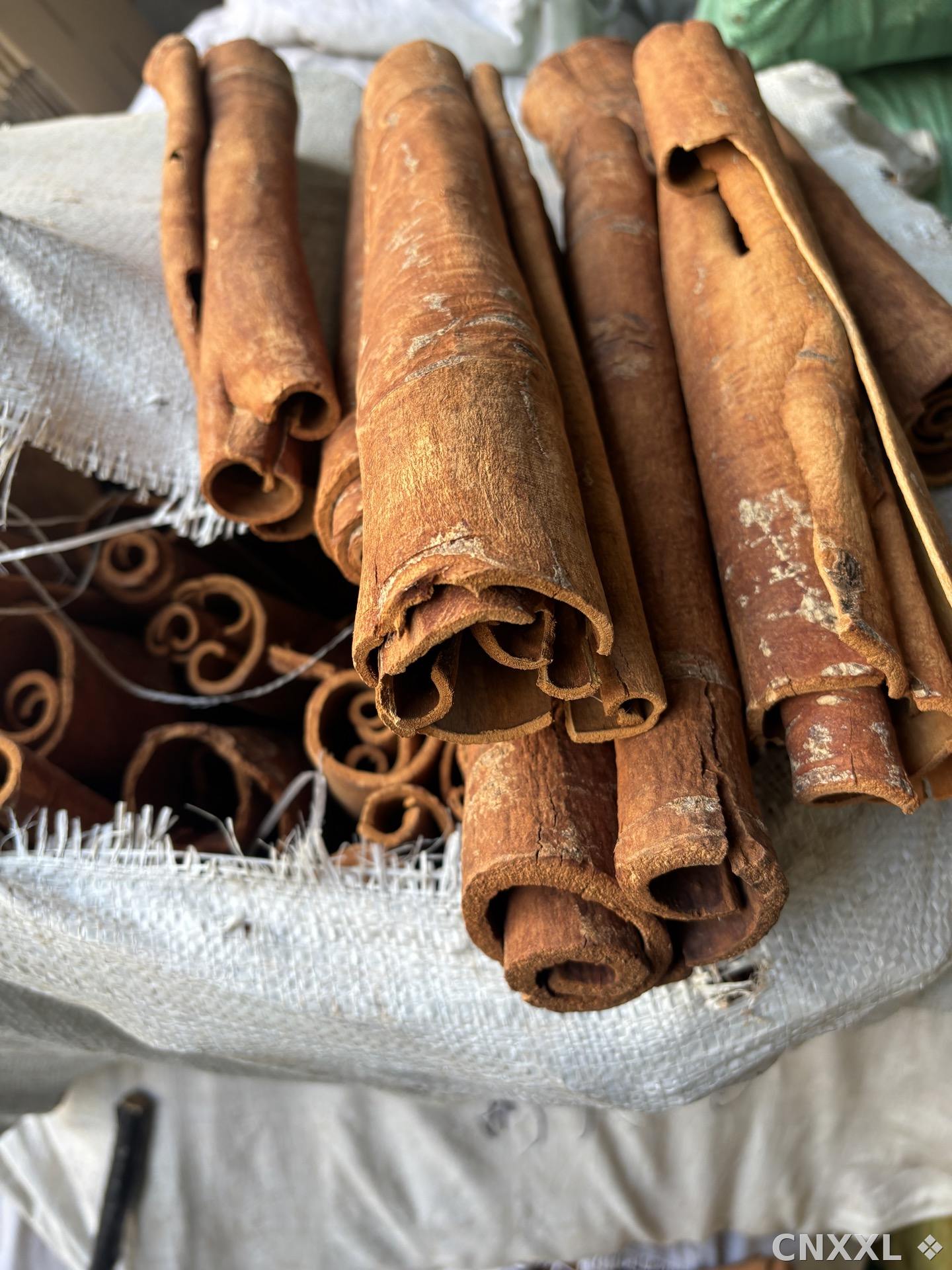 spice_26384_4748ca8c_1.jpg
