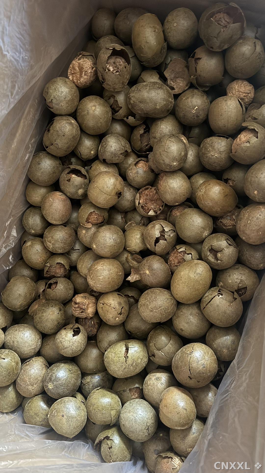 spice_26398_095f93a3_2.jpg