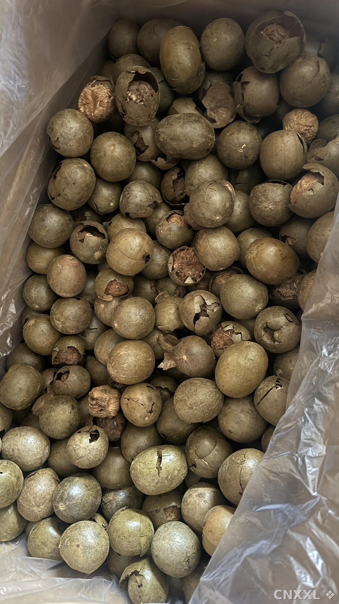spice_26398_7e5b152c_3.jpg
