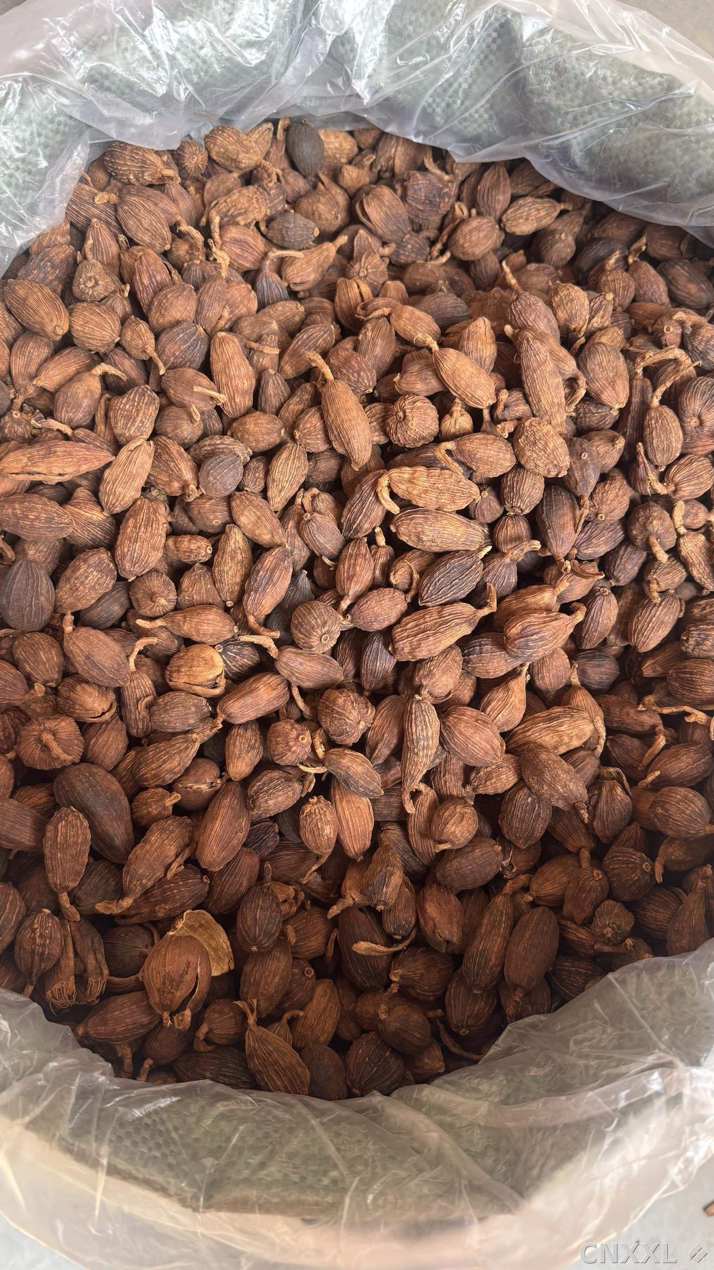 spice_26400_c35629ed_3.jpg