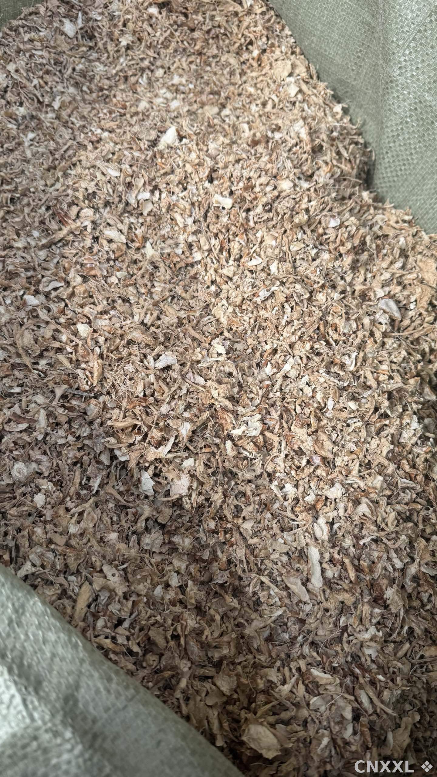 spice_26402_88918c75_3.jpg