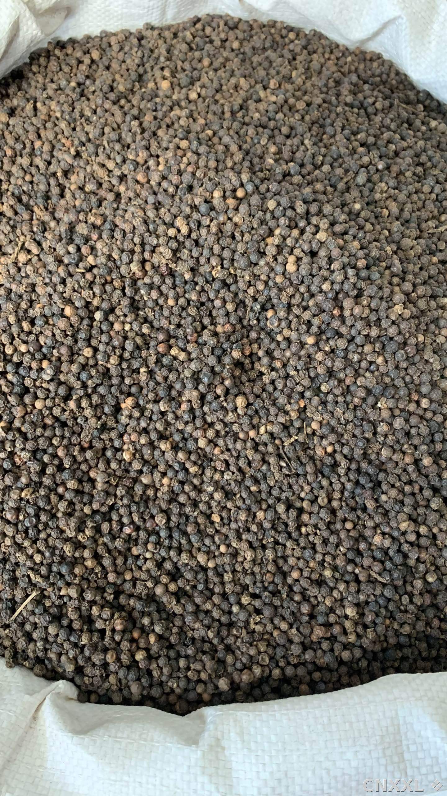 spice_26403_4dbbd7bb_3.jpg