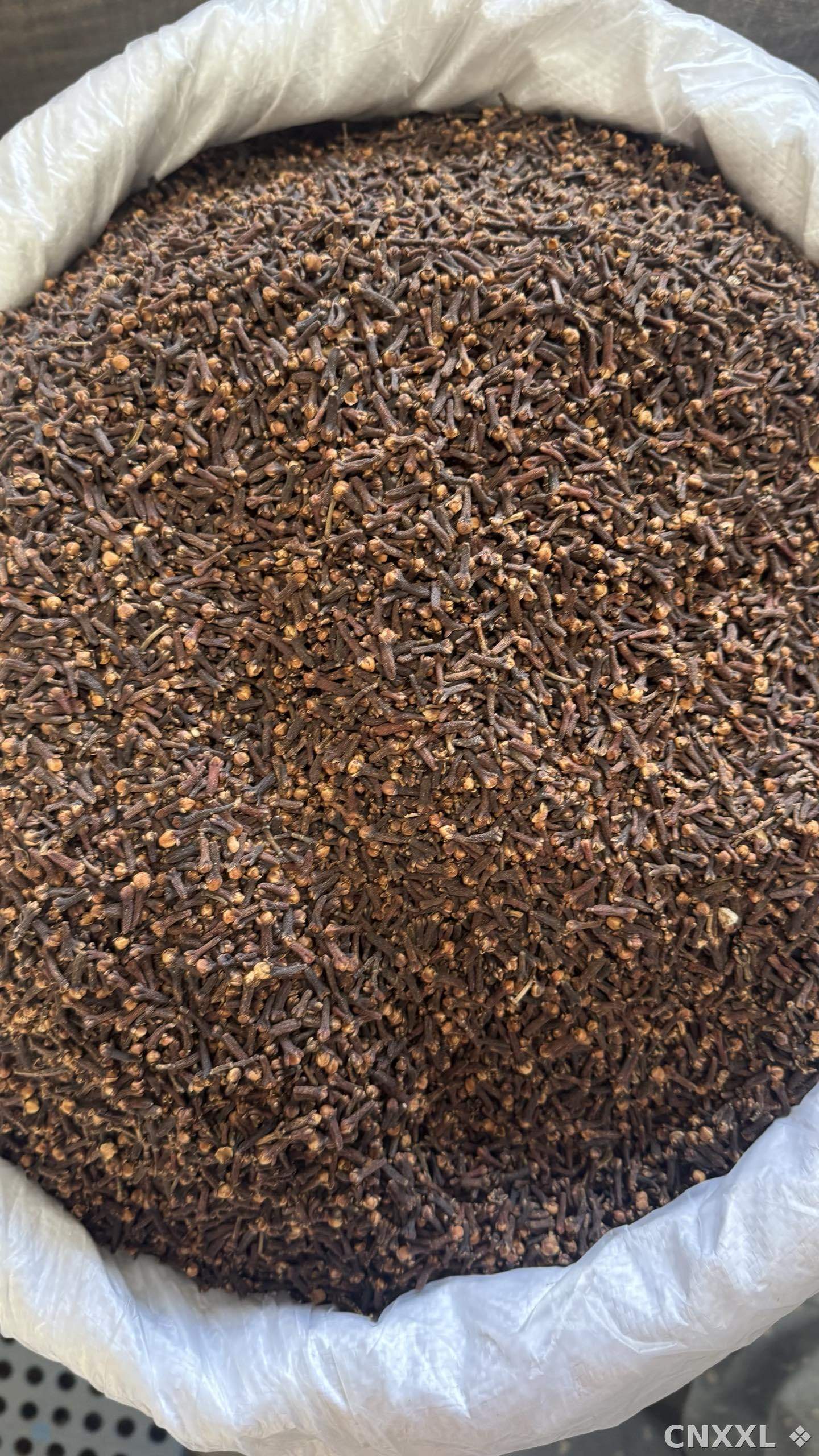 spice_26407_25177472_3.jpg