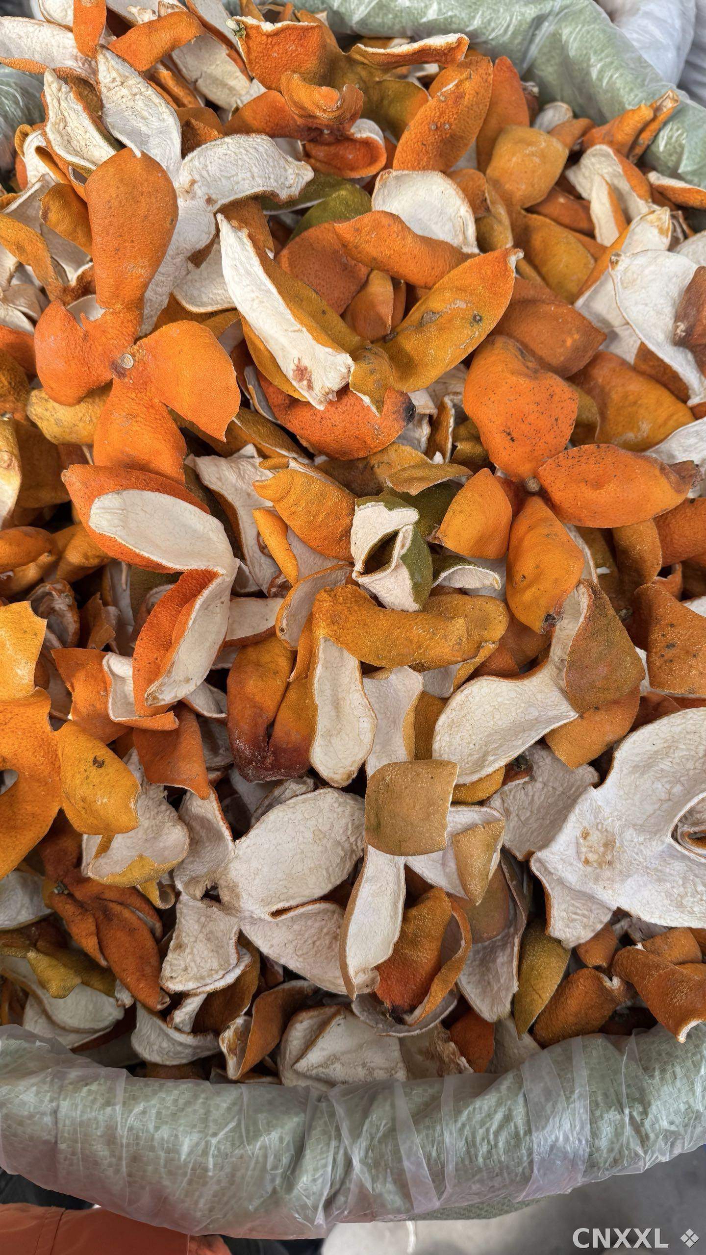 spice_26408_7cbd23c3_3.jpg