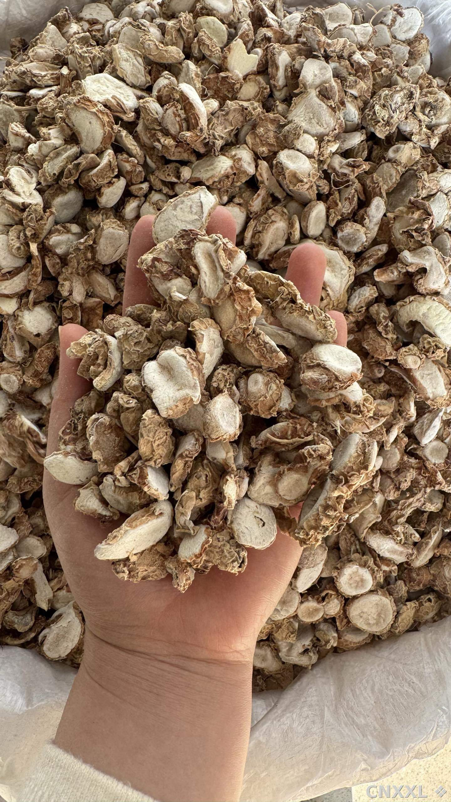 spice_26420_0081c9f7_2.jpg