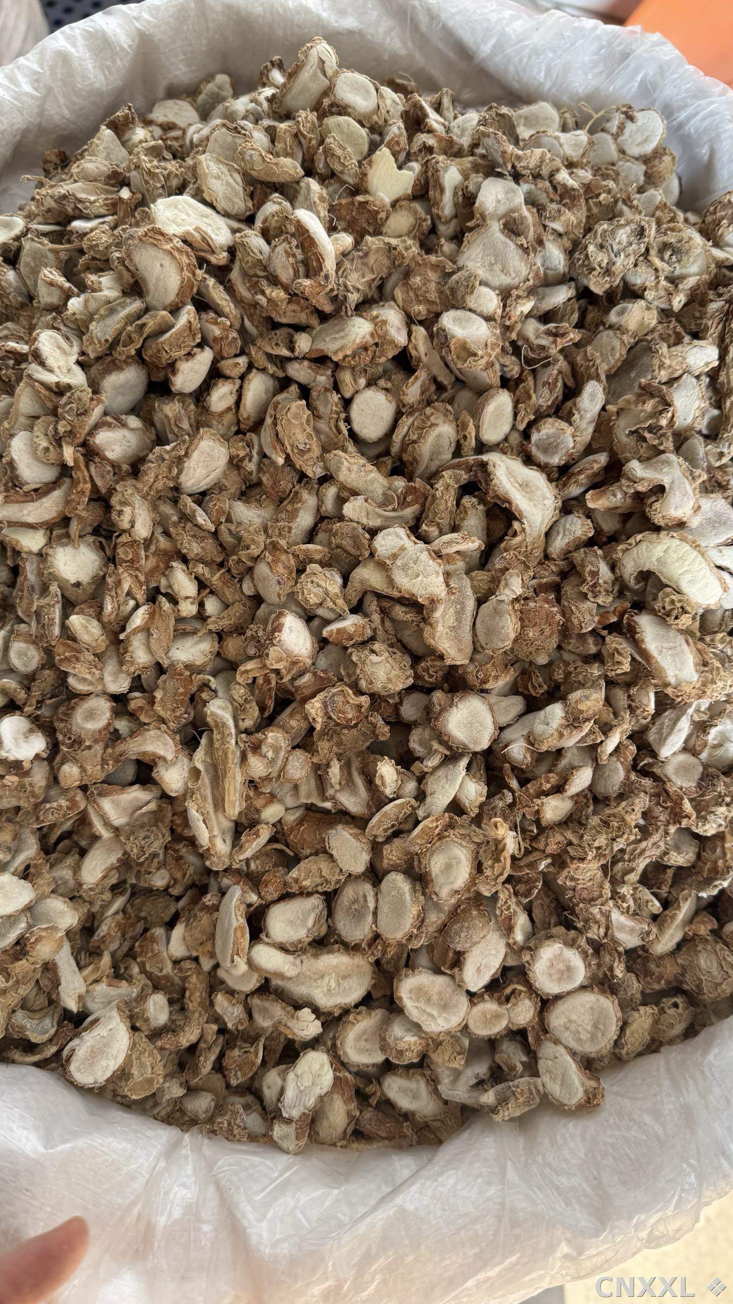 spice_26420_440e690b_3.jpg