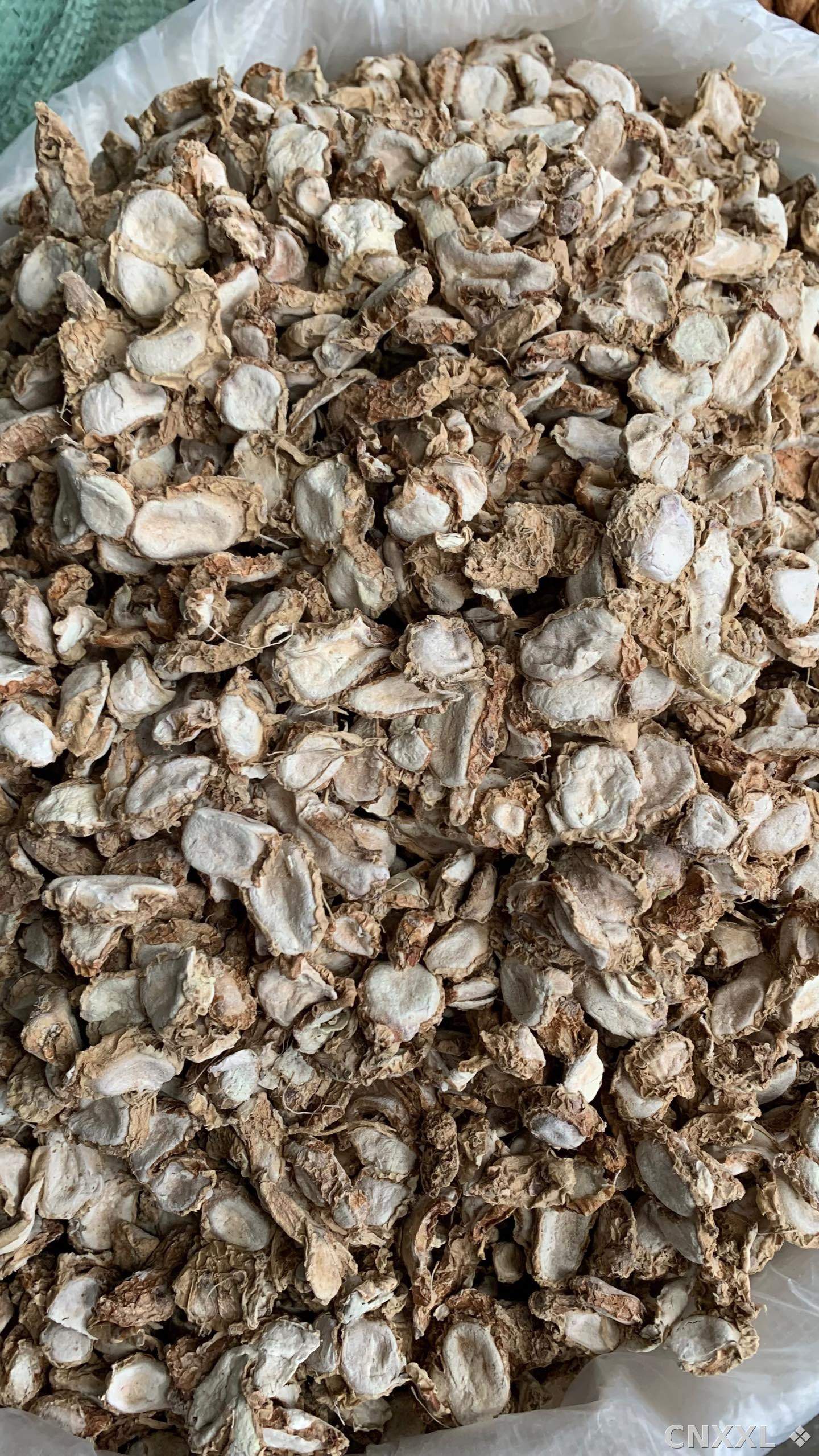spice_26424_ddd85c9d_3.jpg