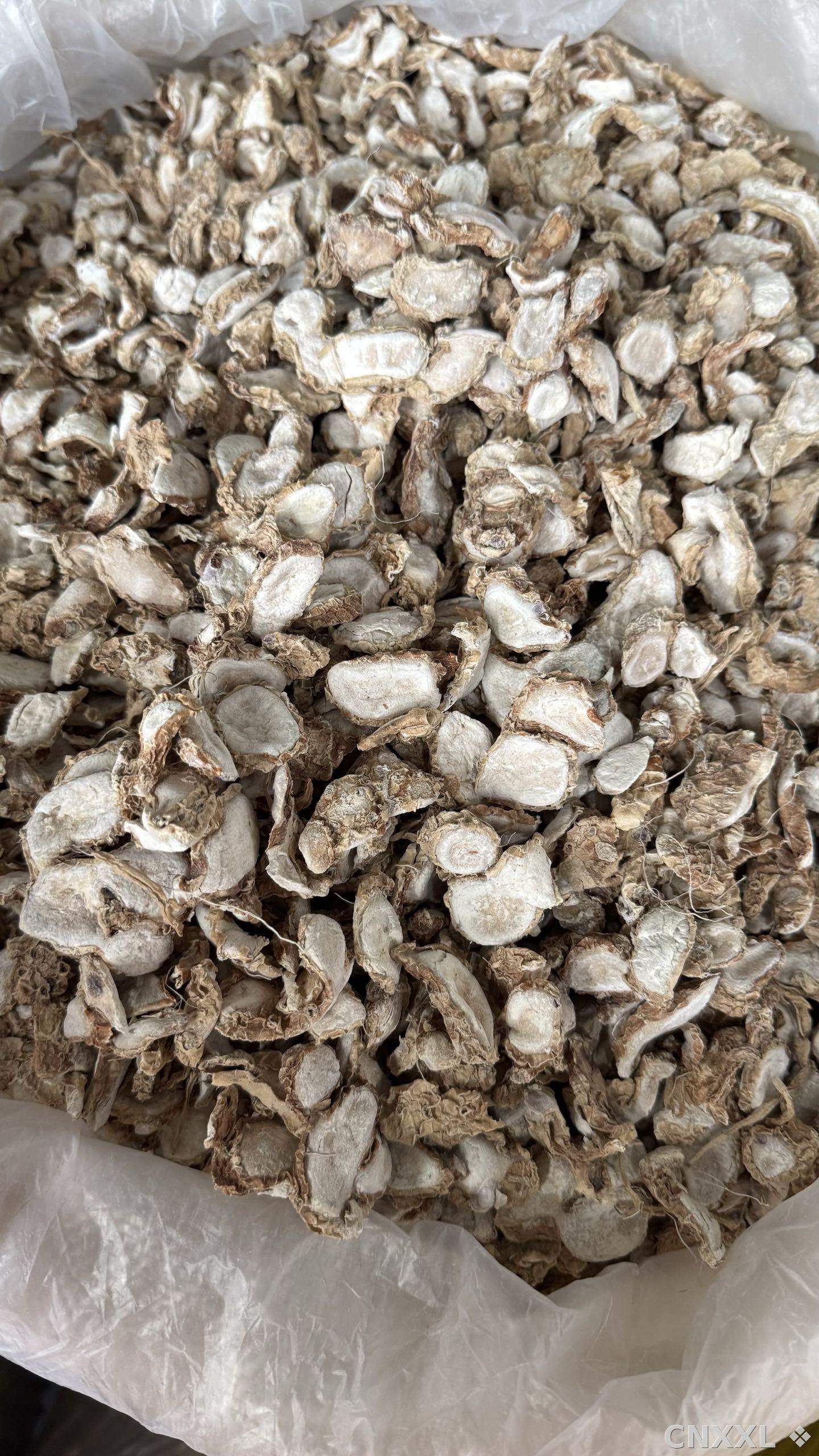 spice_26425_071bc7fd_3.jpg