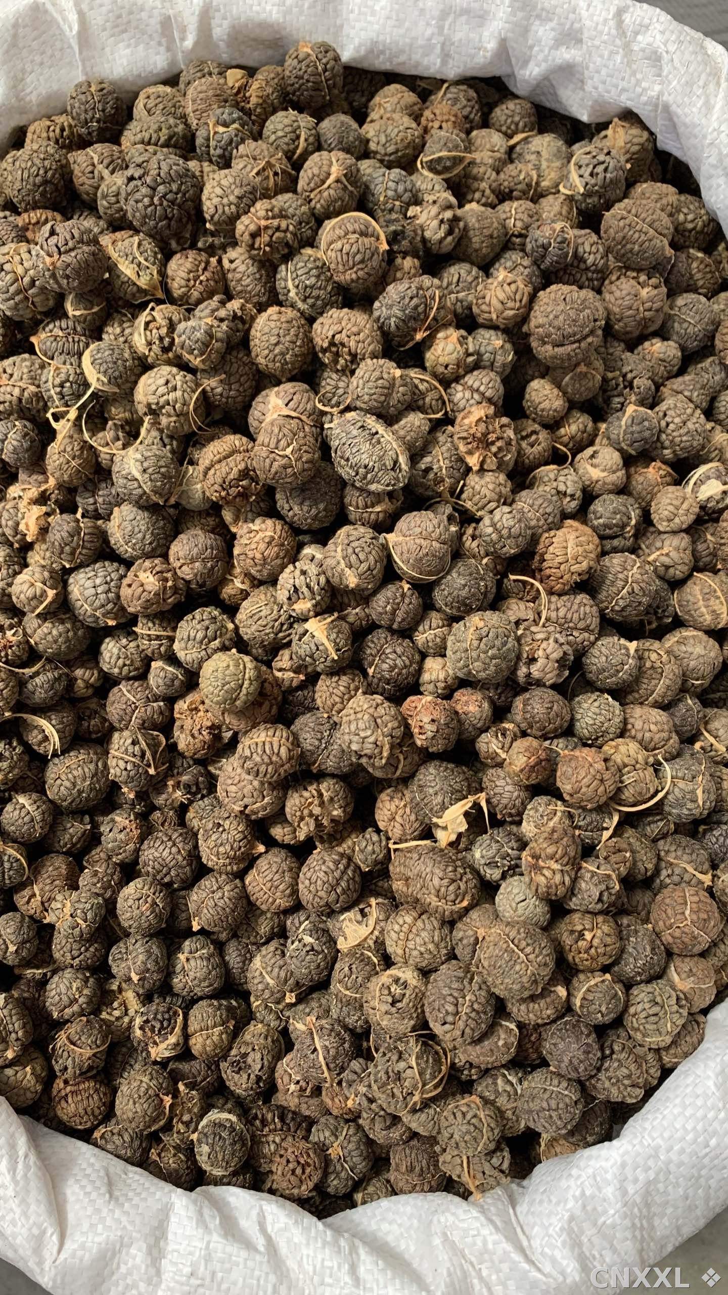 spice_26426_dfc5ebc2_3.jpg