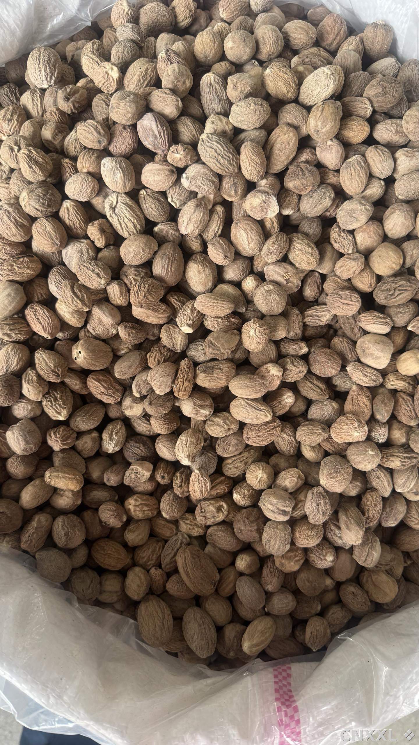 spice_26440_1fc5e28e_3.jpg