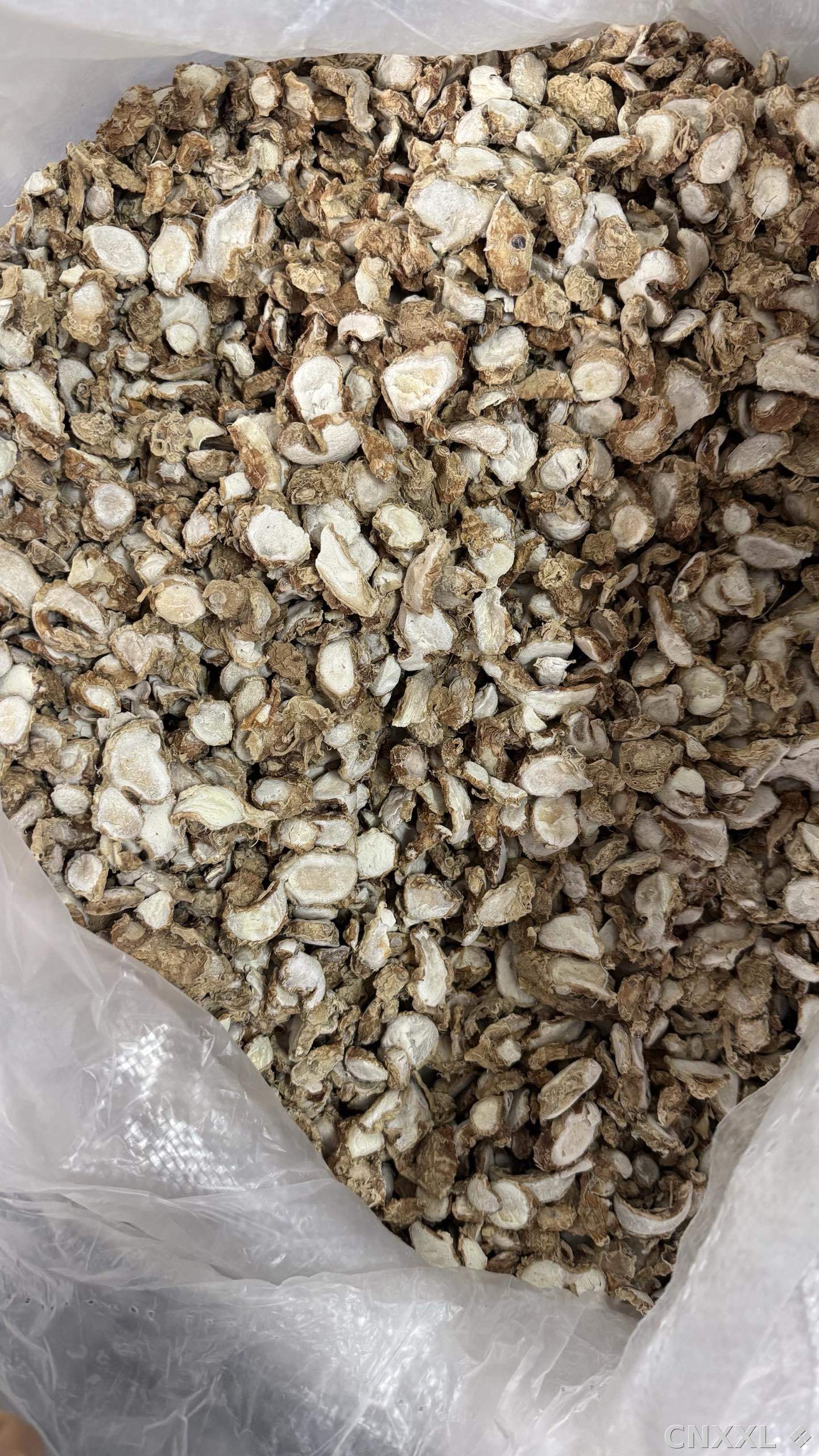 spice_26446_12e205cb_3.jpg