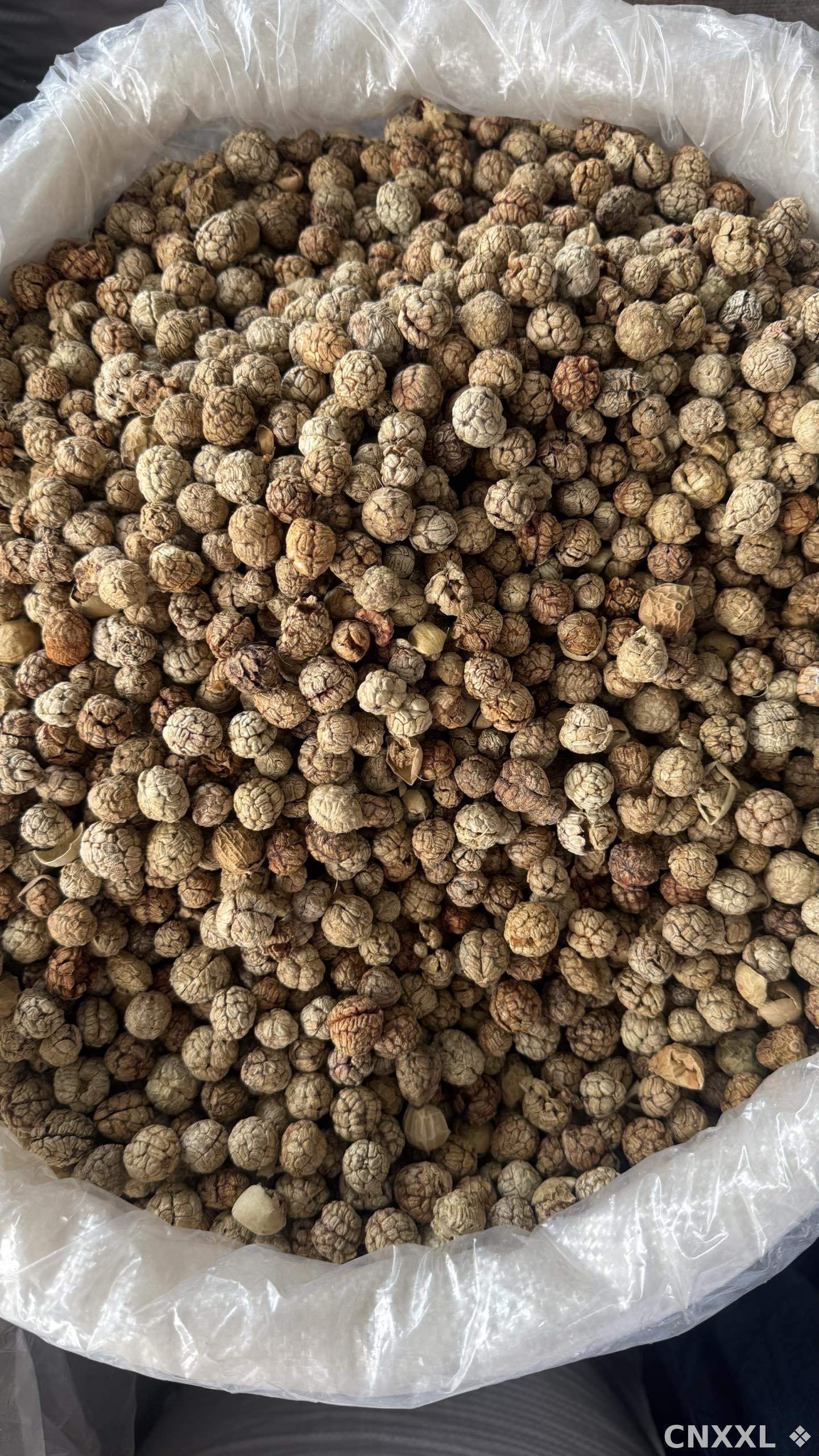 spice_10153_965ca72b_3.jpg