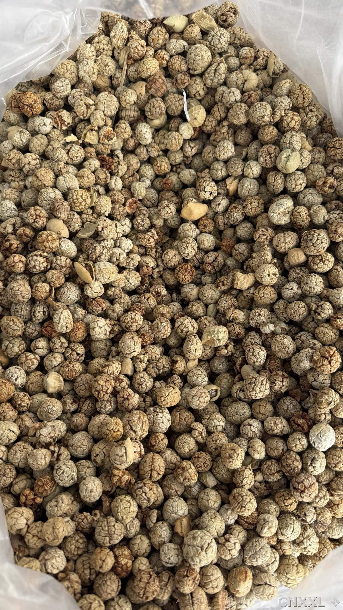 spice_10154_050d22ca_2.jpg