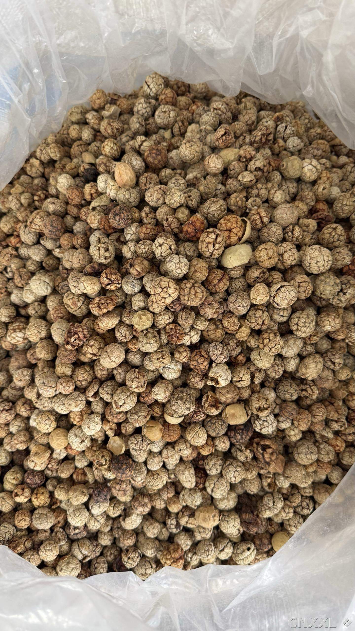 spice_10154_1f2aa06e_2.jpg