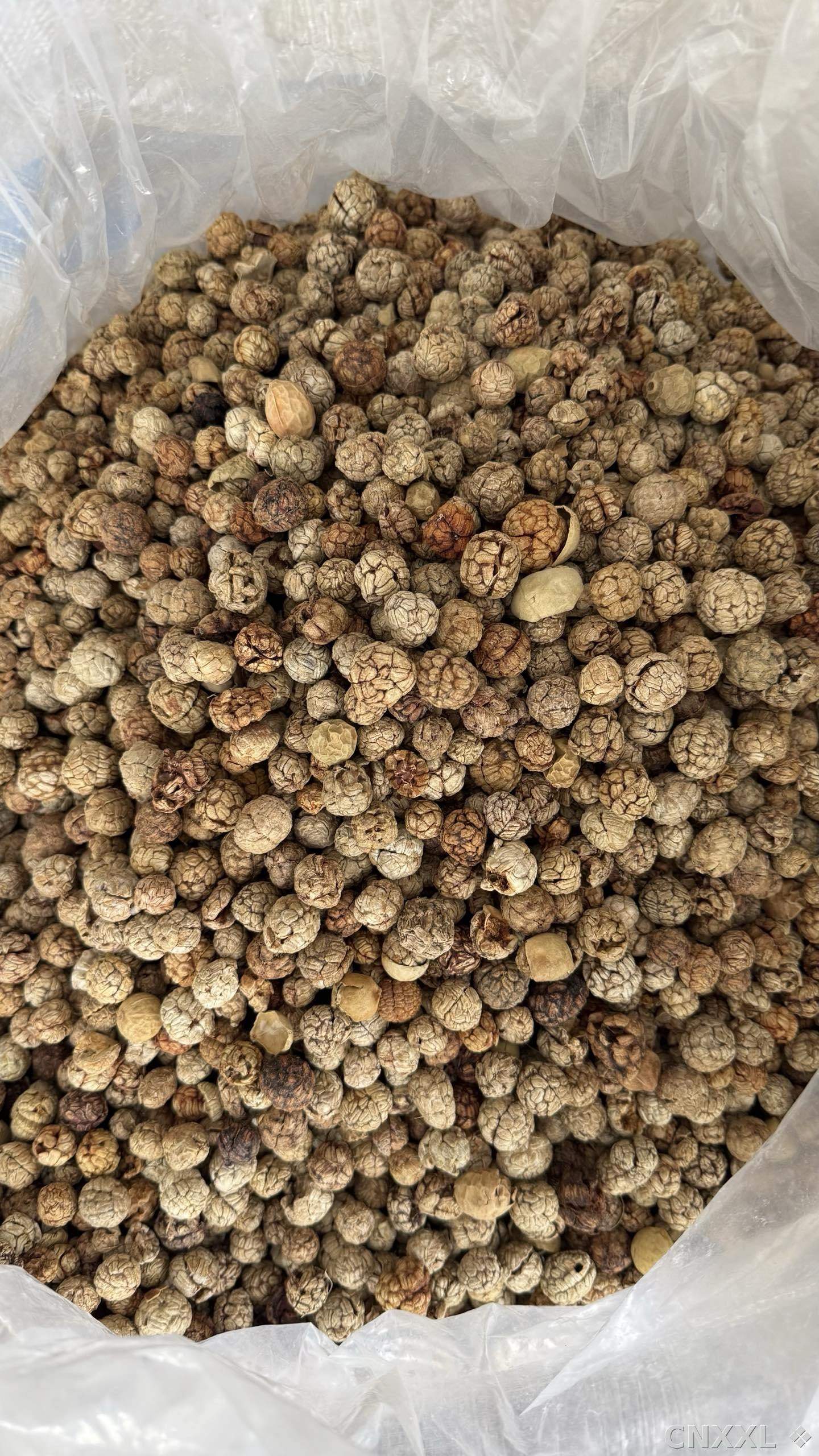 spice_10154_a22d3c85_3.jpg
