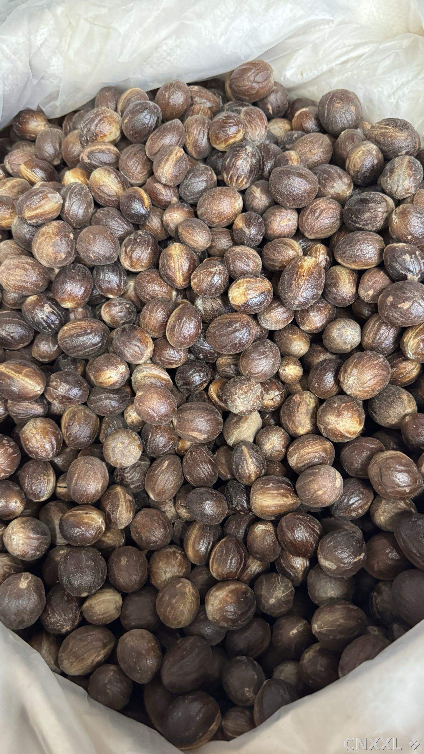 spice_12692_2a8813d6_3.jpg