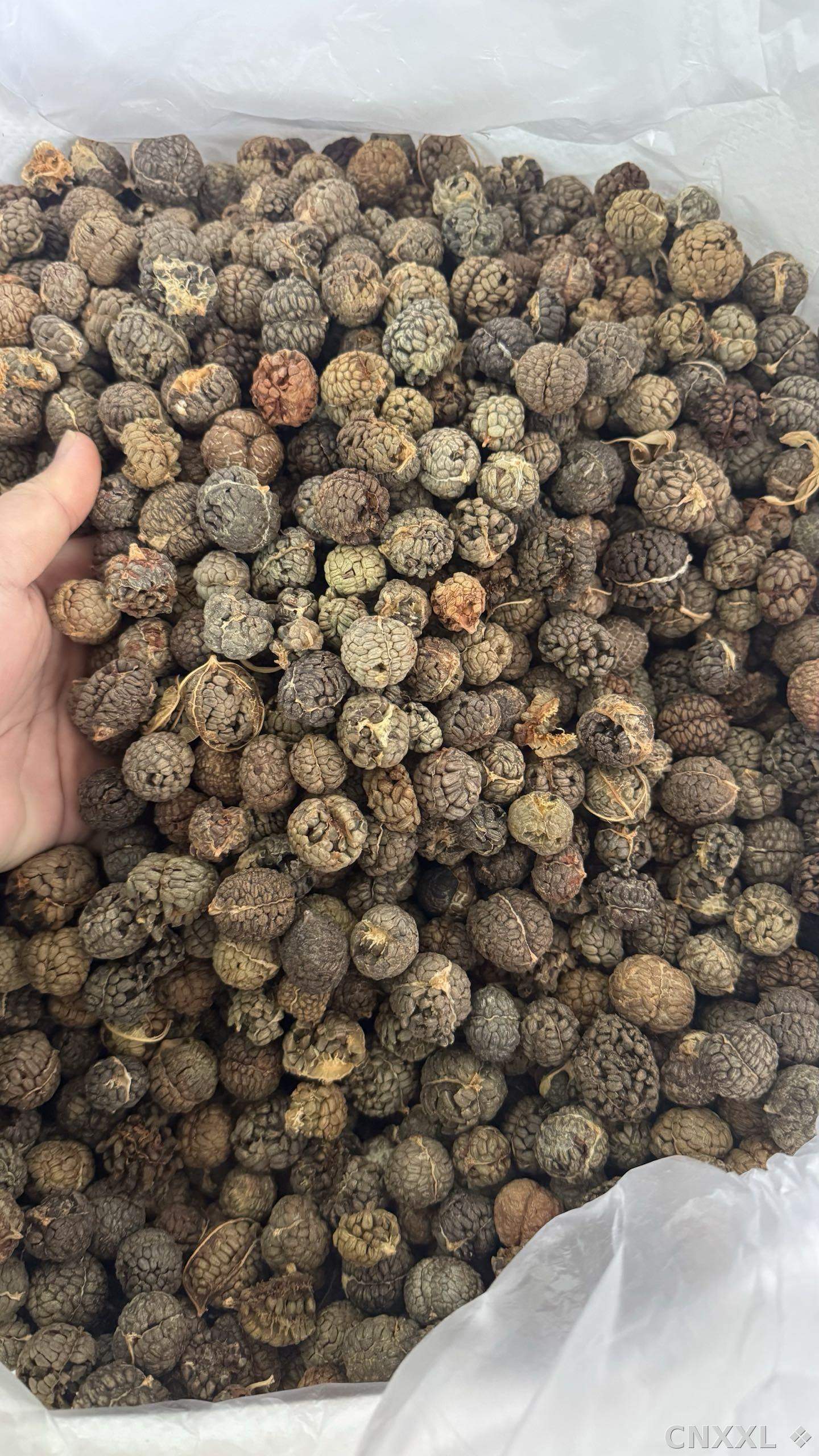 spice_1457774_056e8479_3.jpg