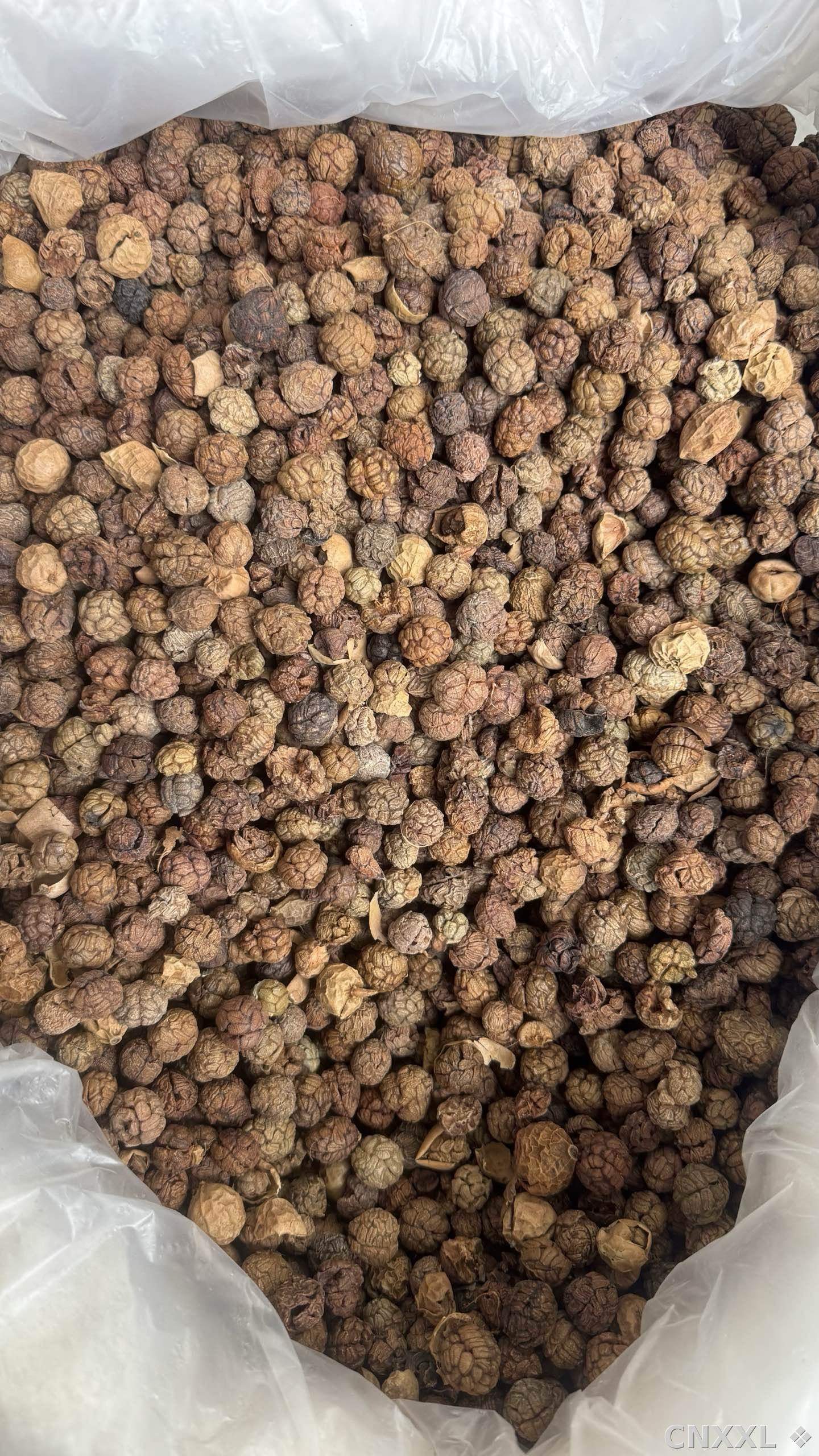 spice_14835_1f1dbb58_3.jpg