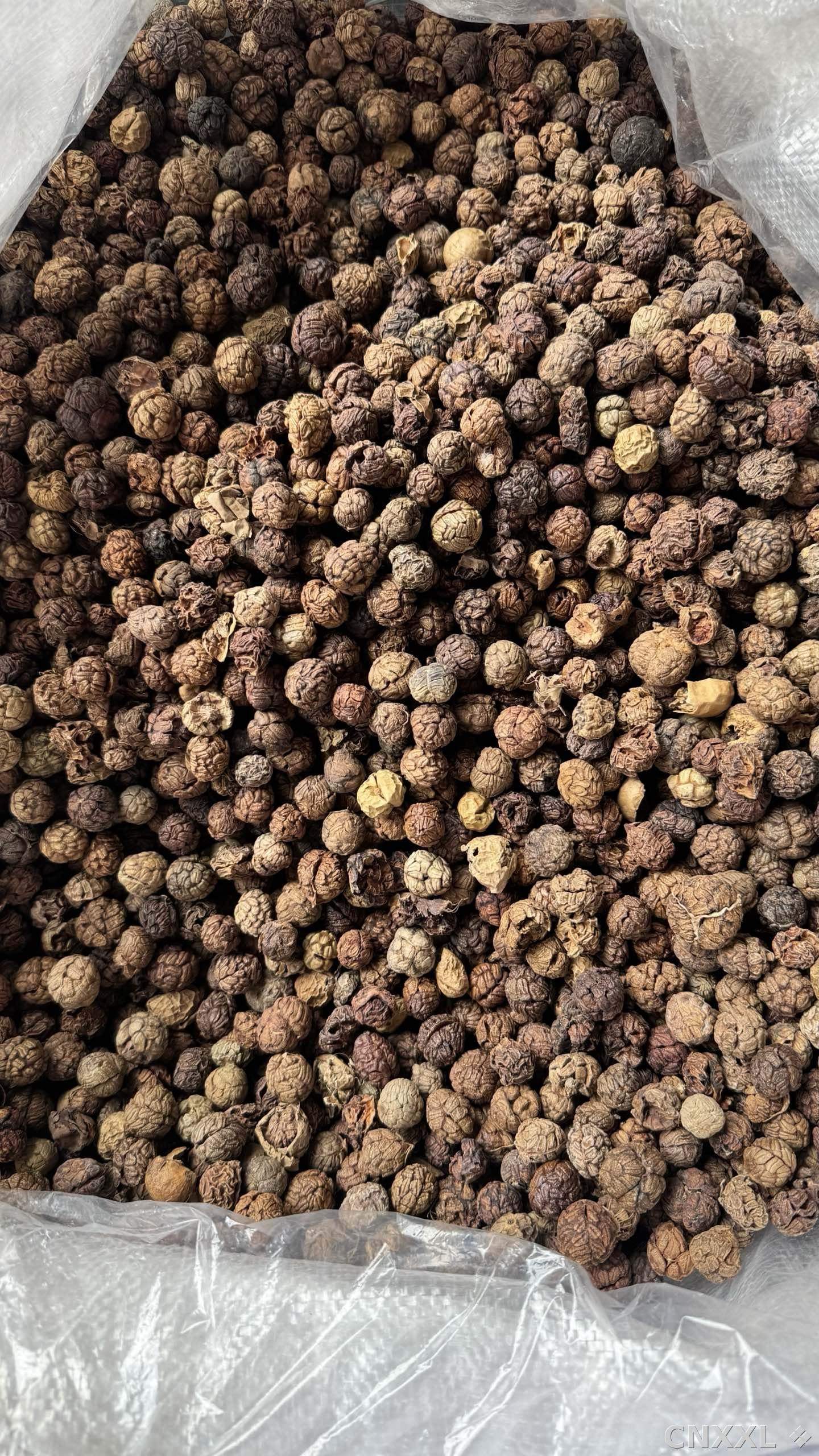 spice_14835_2d2f7131_2.jpg