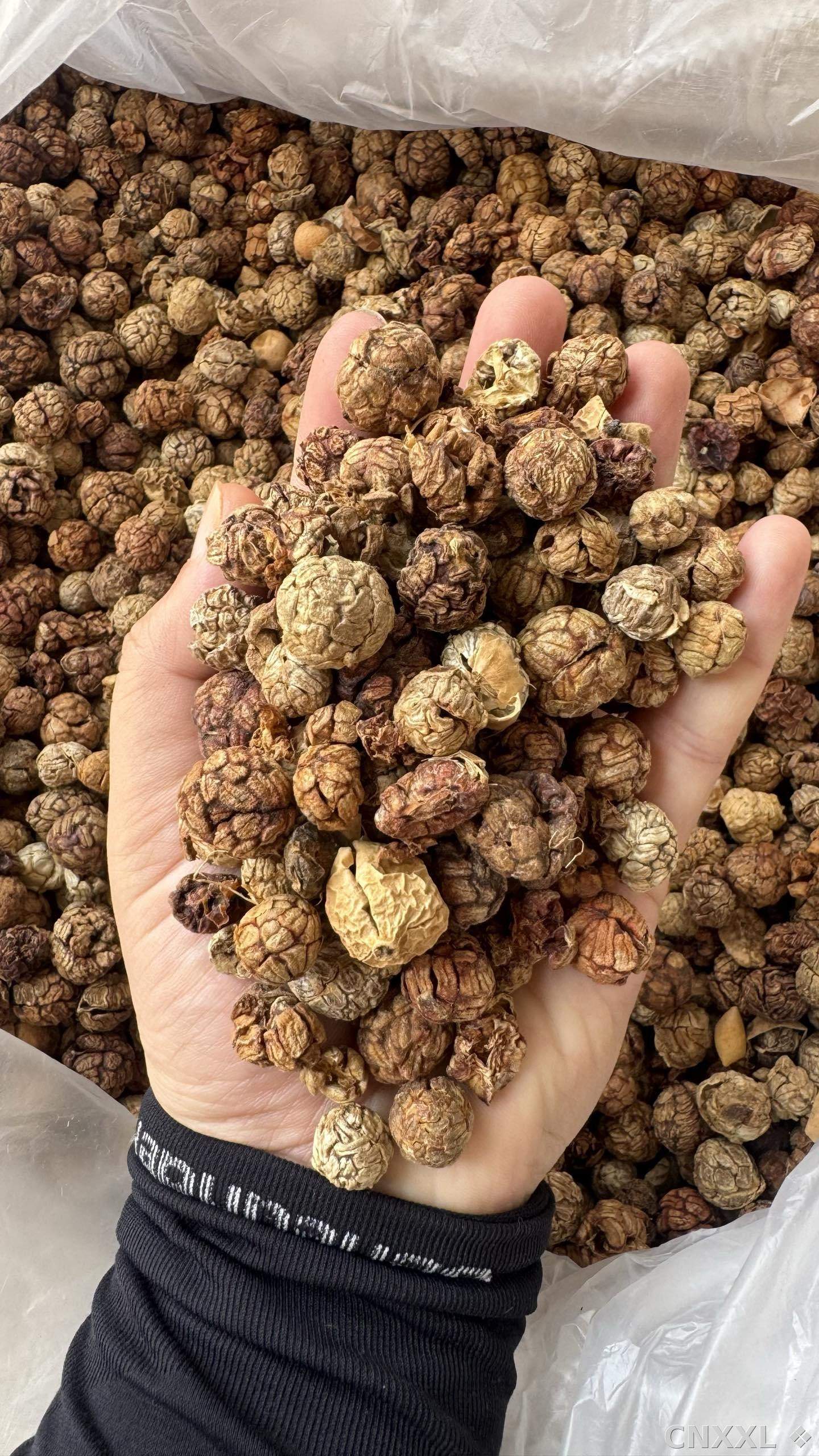 spice_14836_dba8e4c5_2.jpg