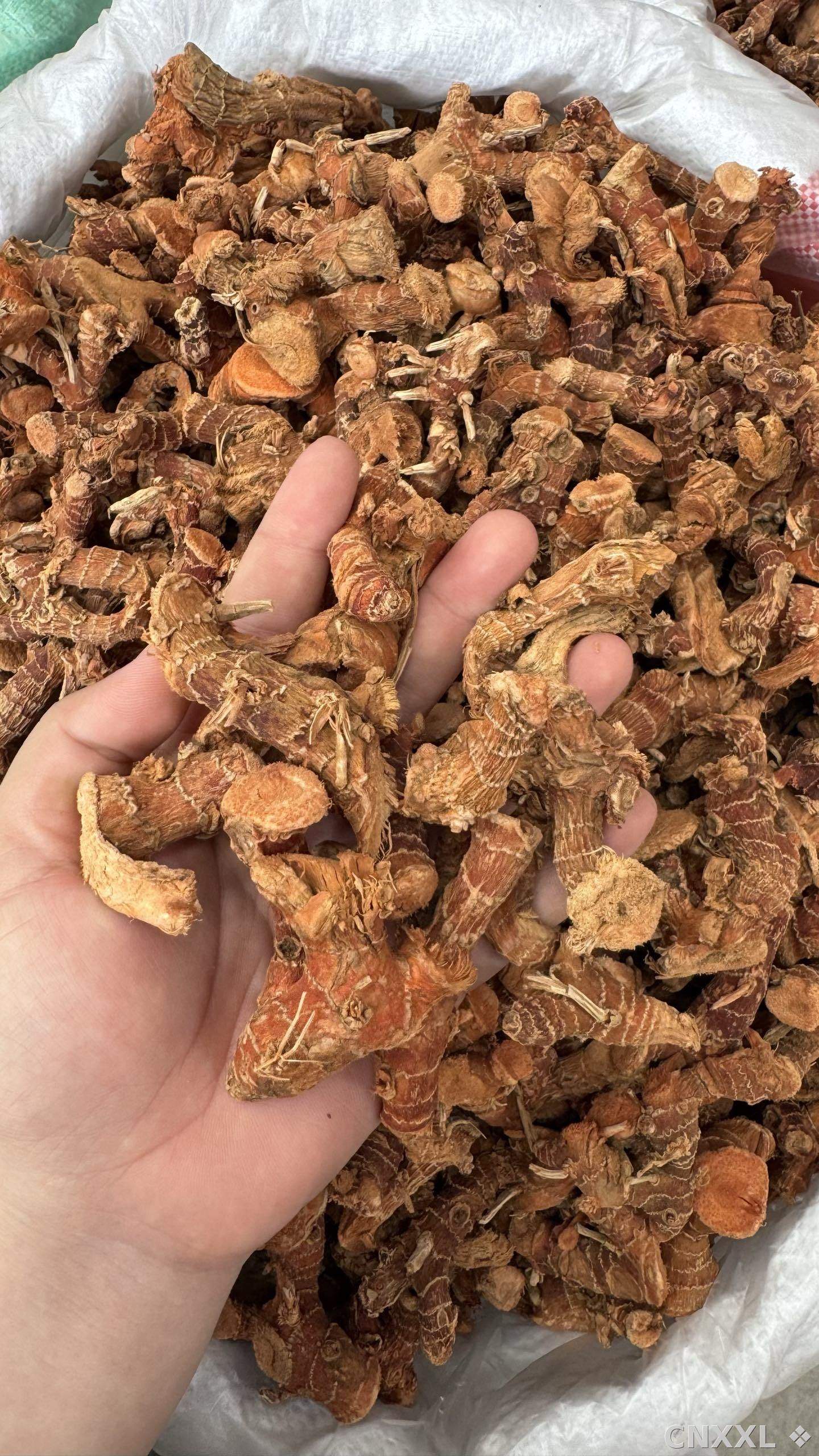 spice_18794_43c4601a_1.jpg