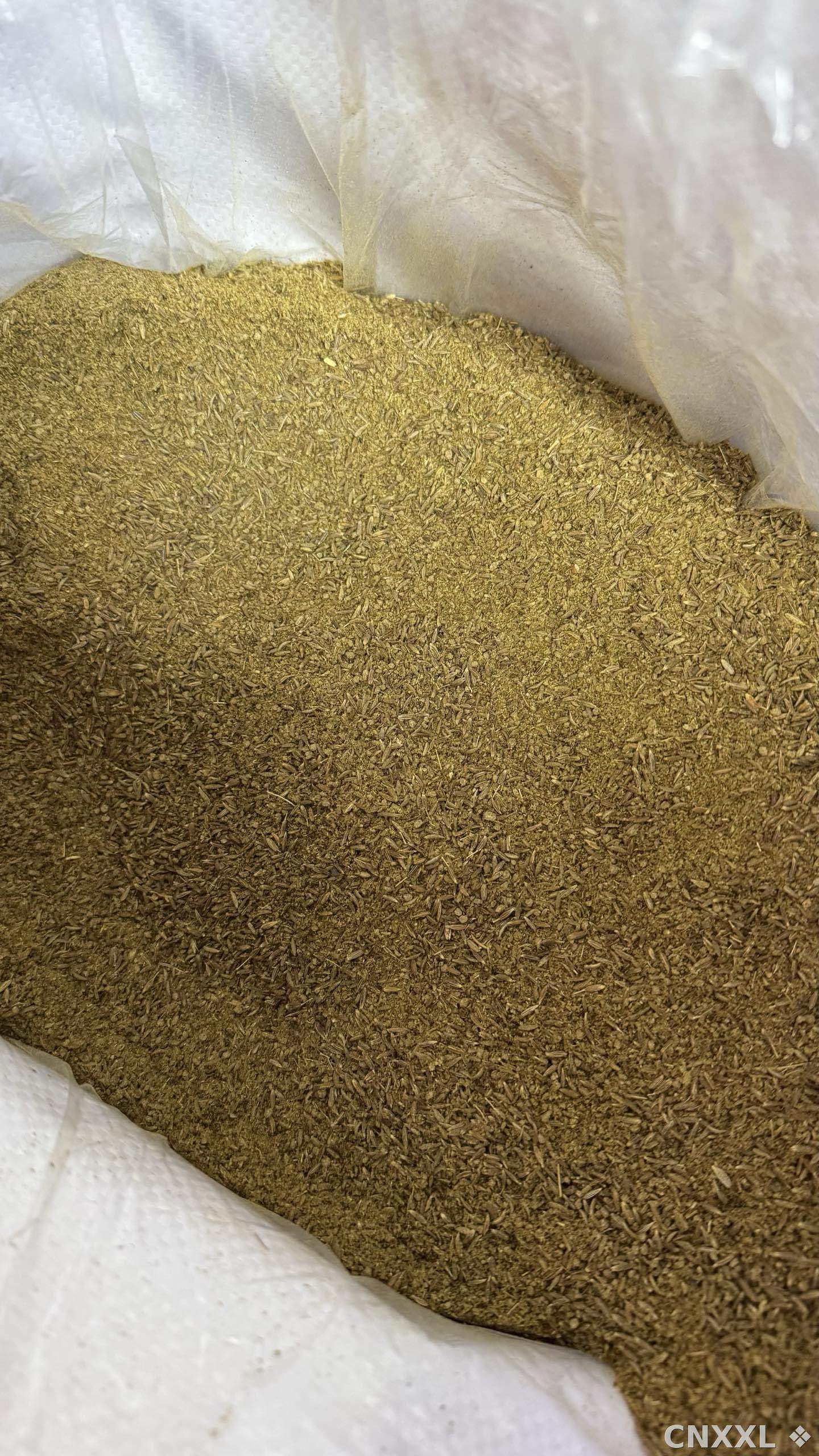 spice_19069_cd706e5f_2.jpg