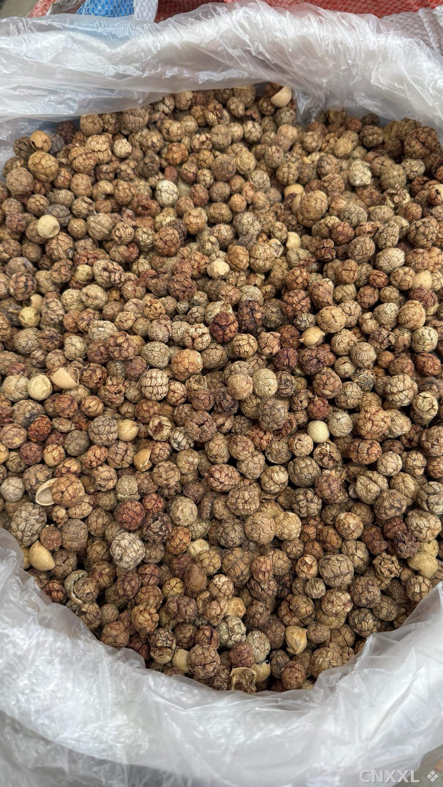 spice_21346_a9140327_3.jpg