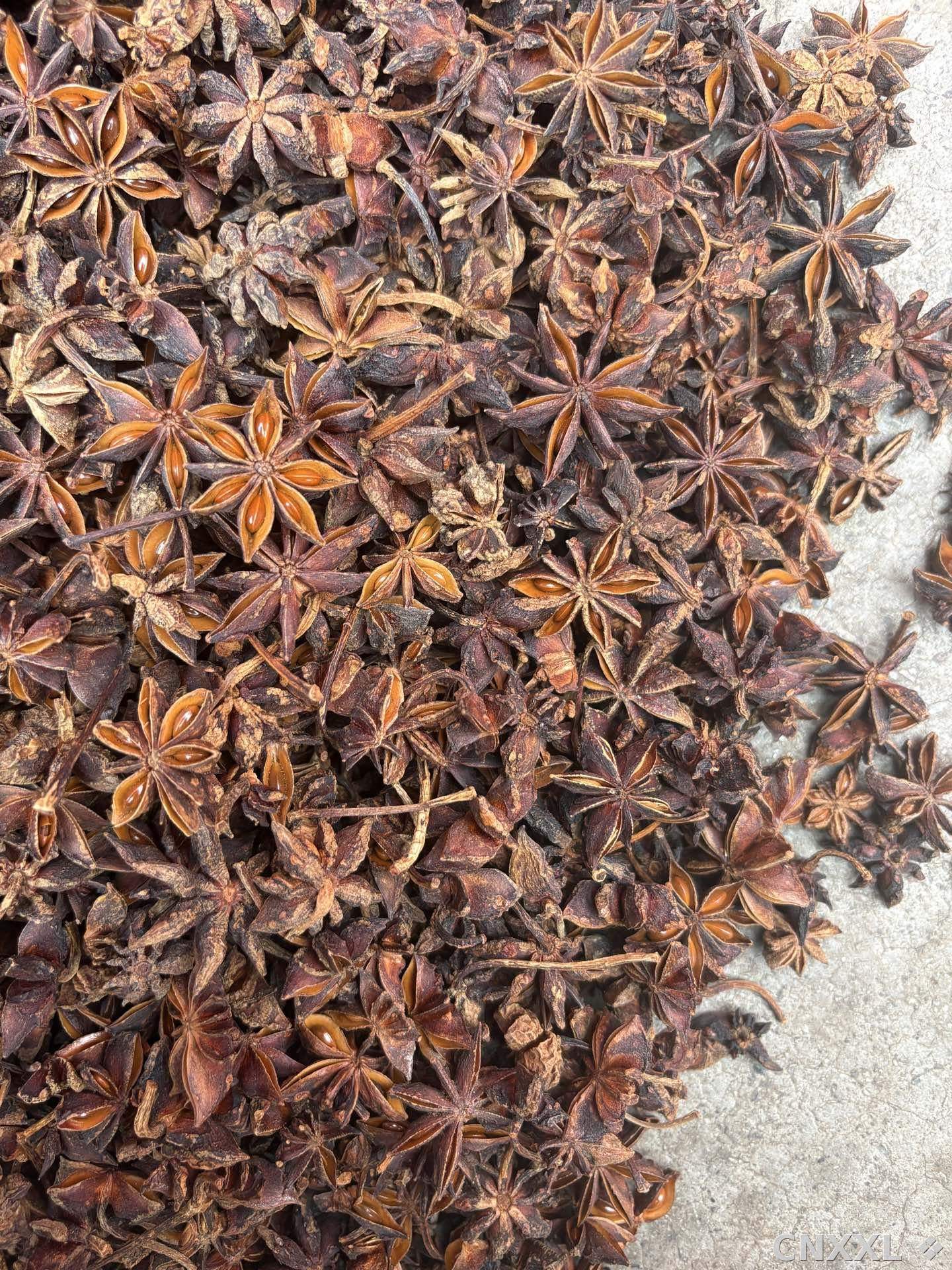 spice_2164958_b7ca7a2c_3.jpg