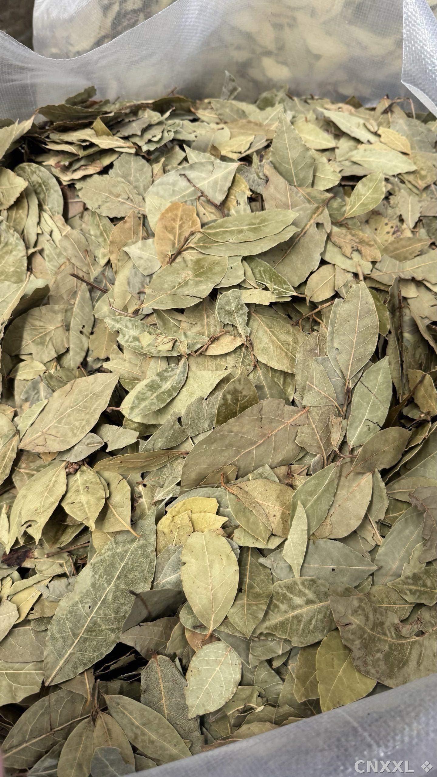 spice_2164963_106558c2_2.jpg