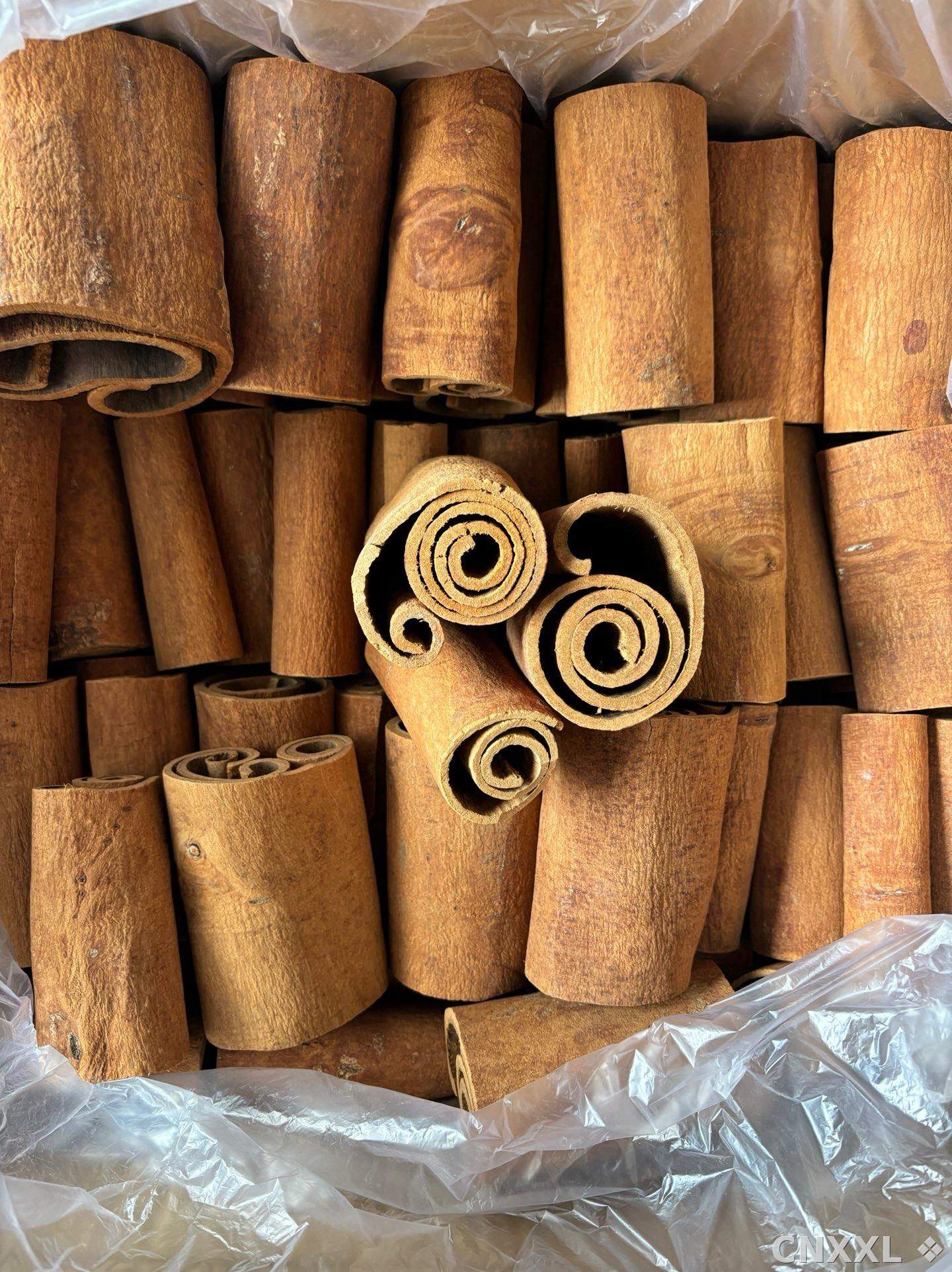 spice_22305_1f62d0af_2.jpg