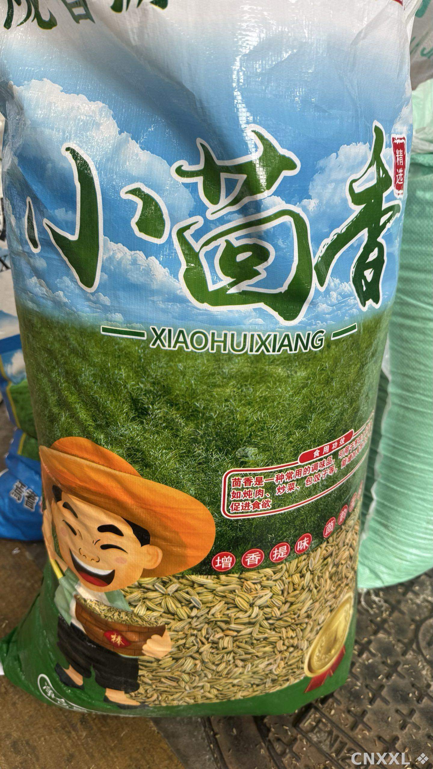spice_2256630_236bb533_3.jpg