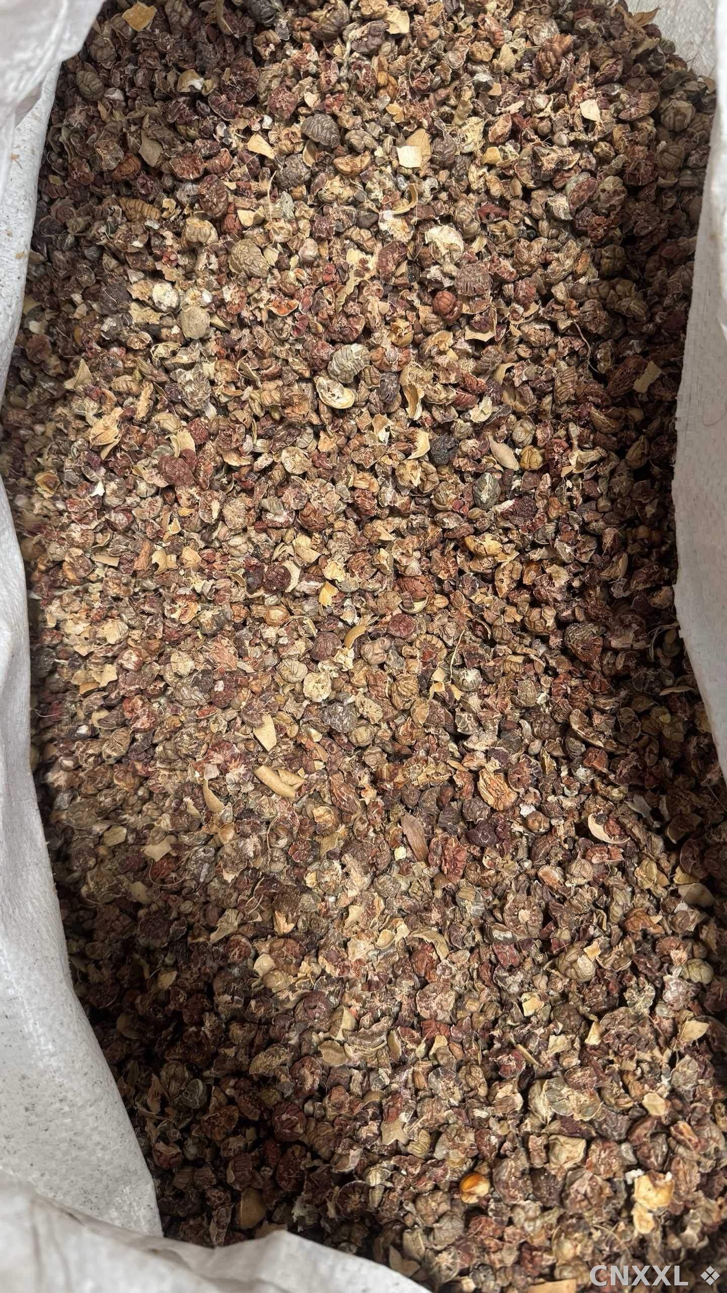 spice_2292127_8652302f_2.jpg