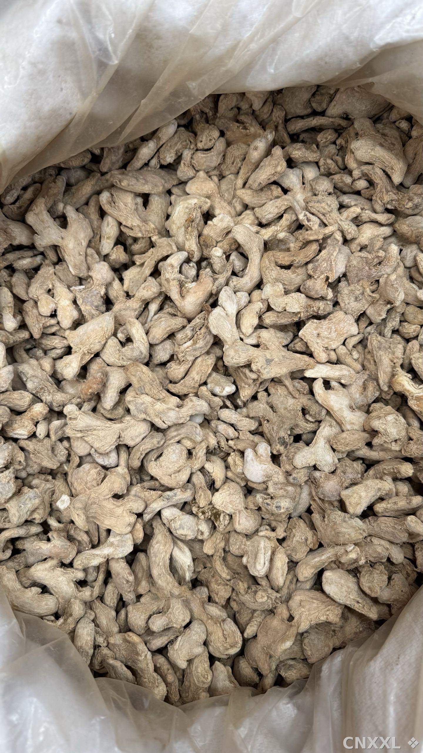 spice_2292128_0ad60160_3.jpg