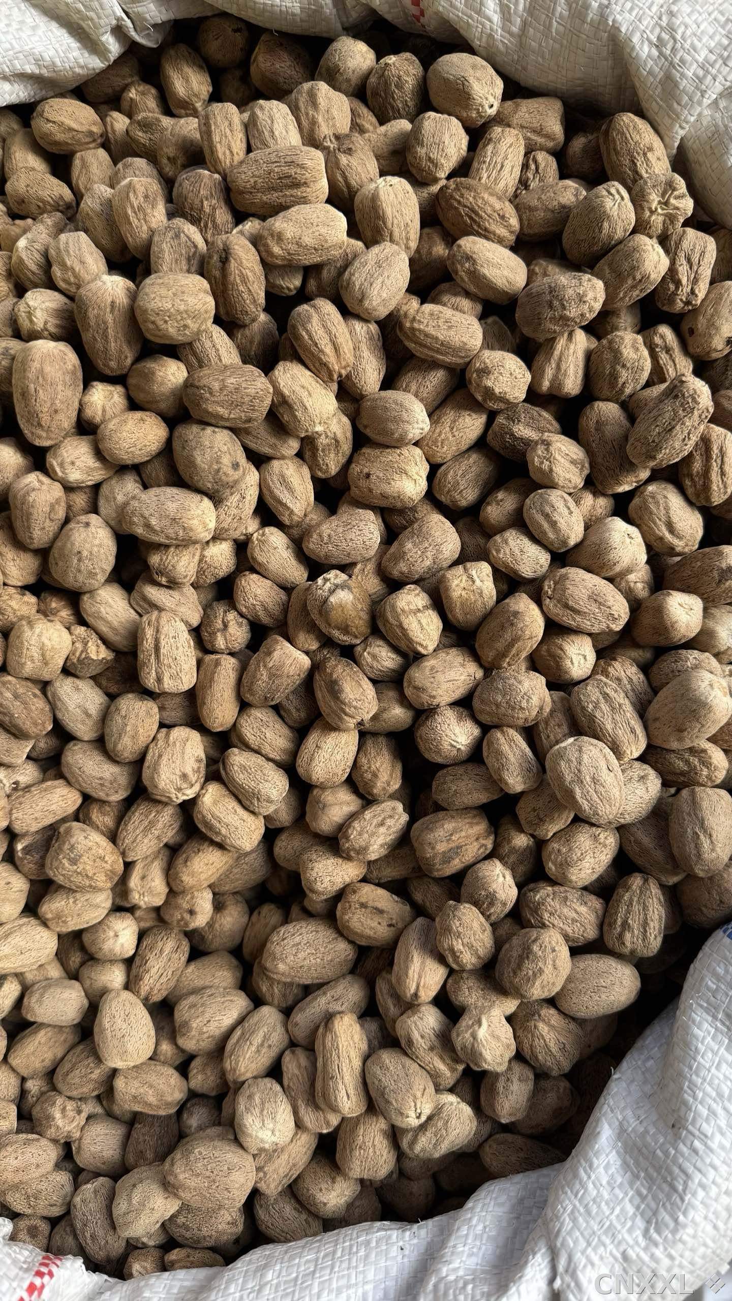 spice_2363187_16b8d44a_3.jpg